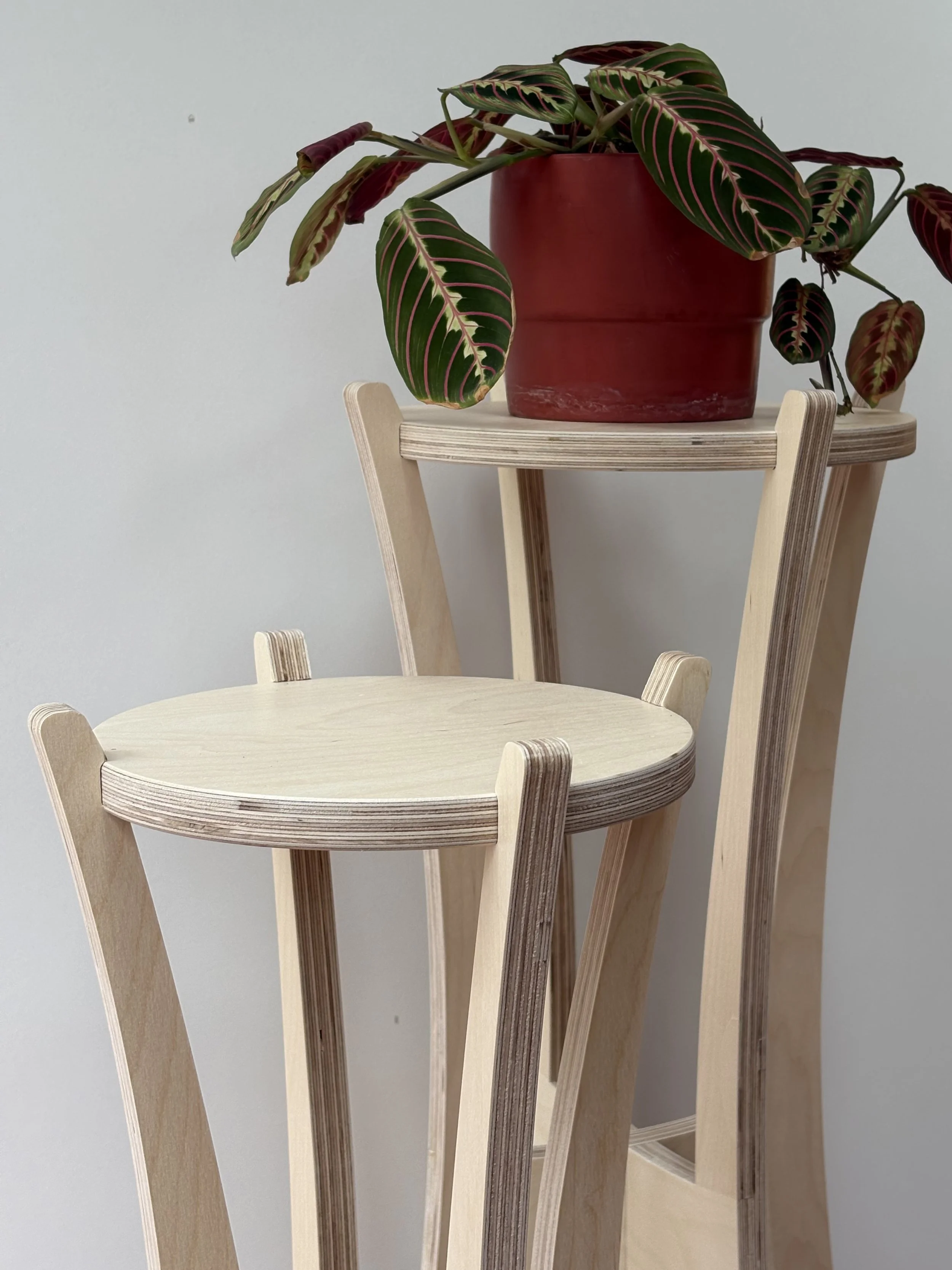 Plant Stands Detail 00.jpg