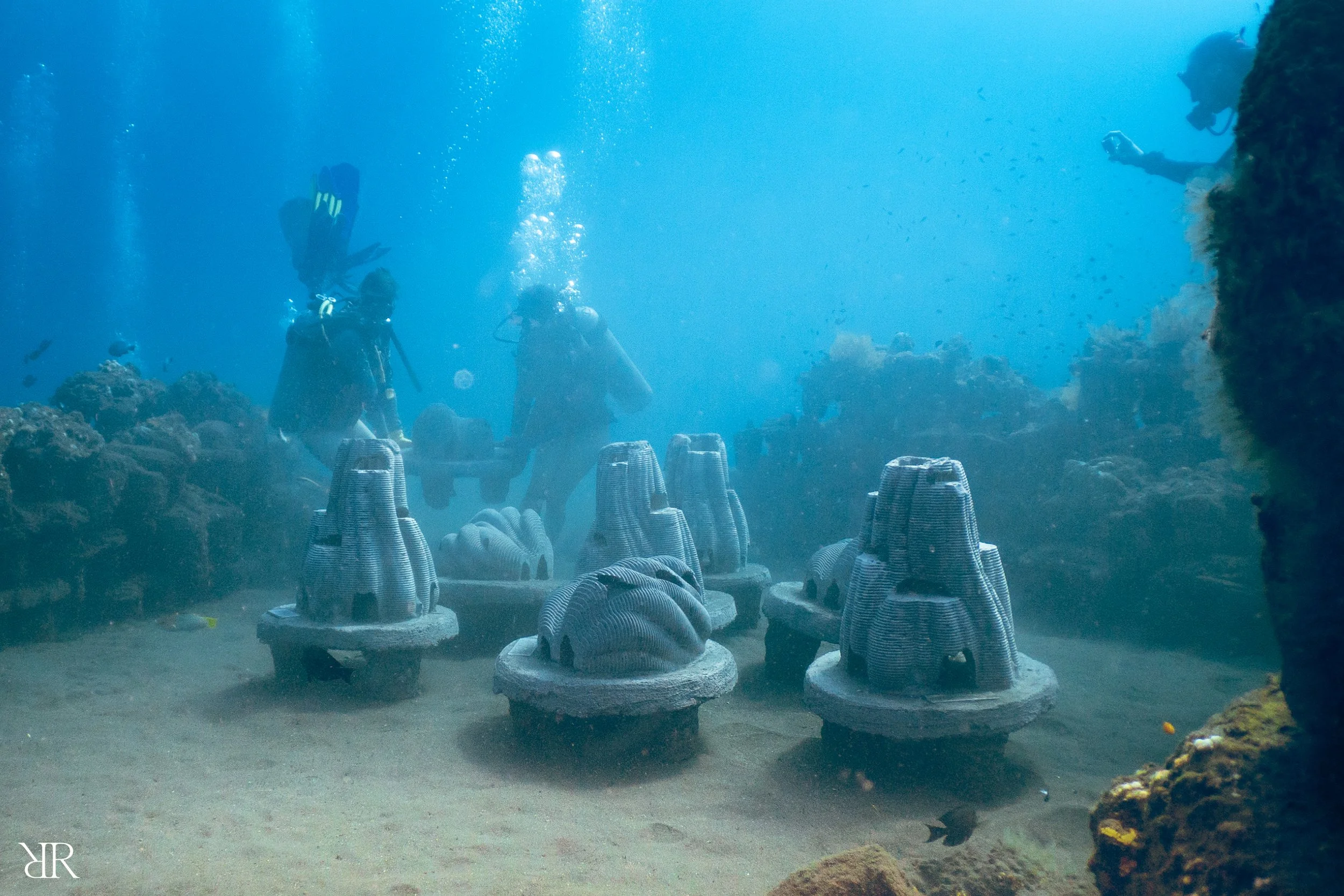 Designing a Sensitive Marketing Strategy for Memorial Reefs