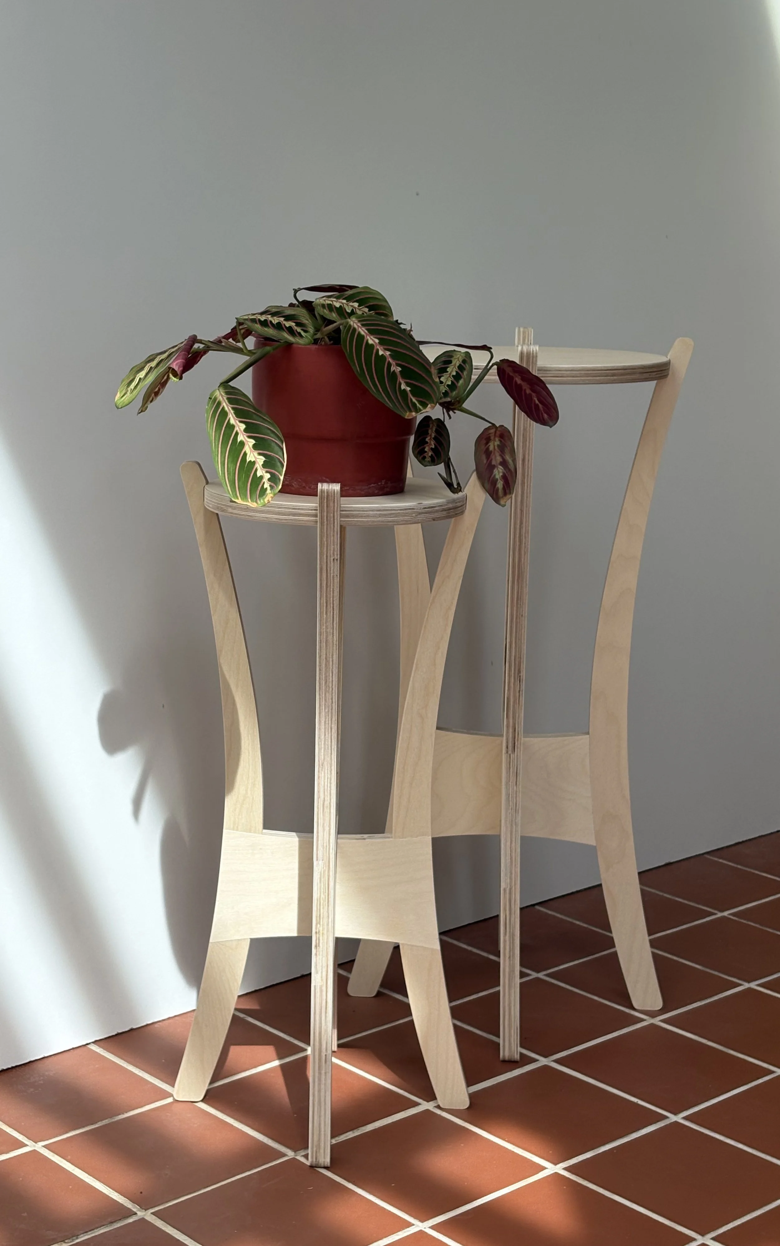 Assemble: Set of Plant Stands