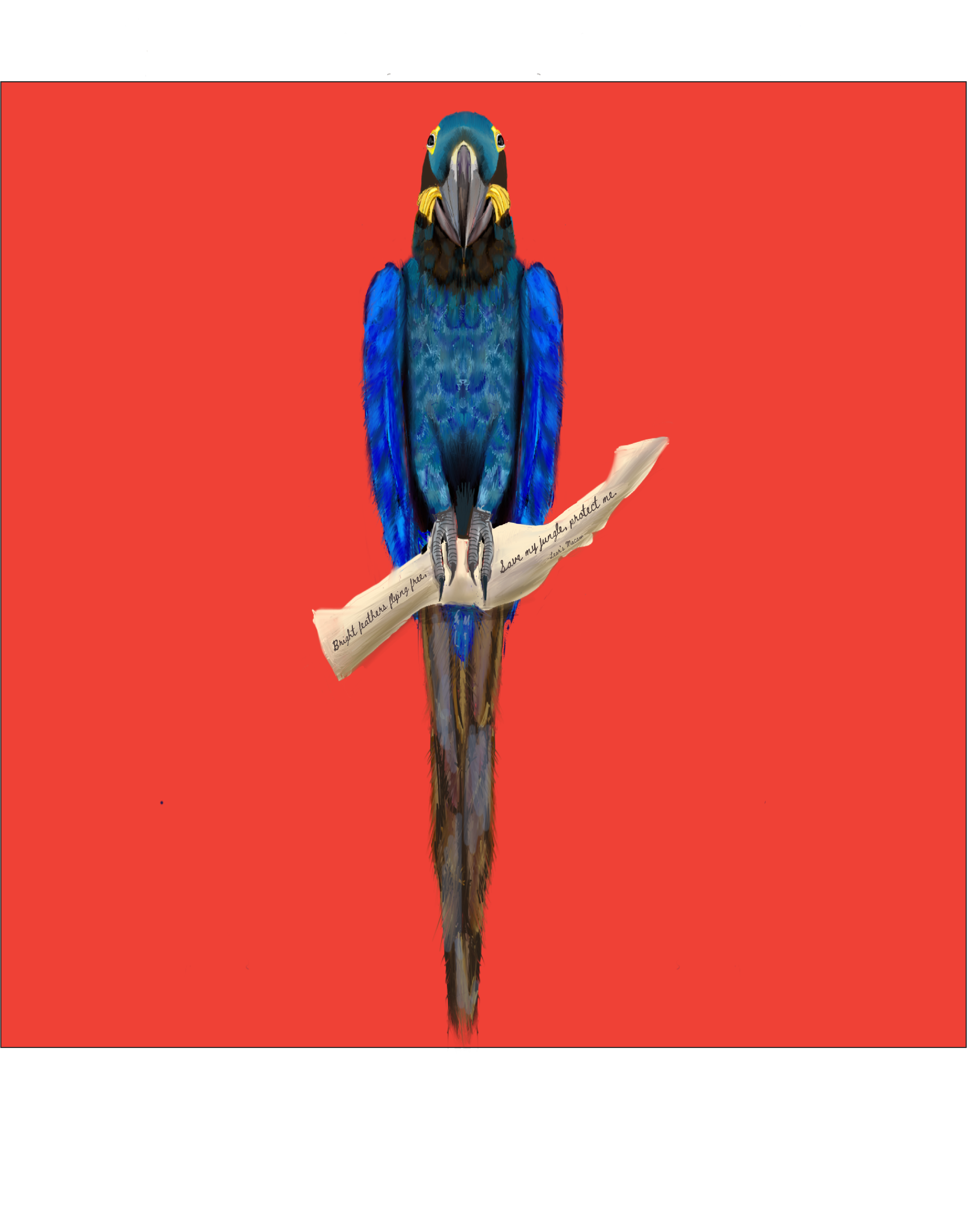 lear'smacaw.png