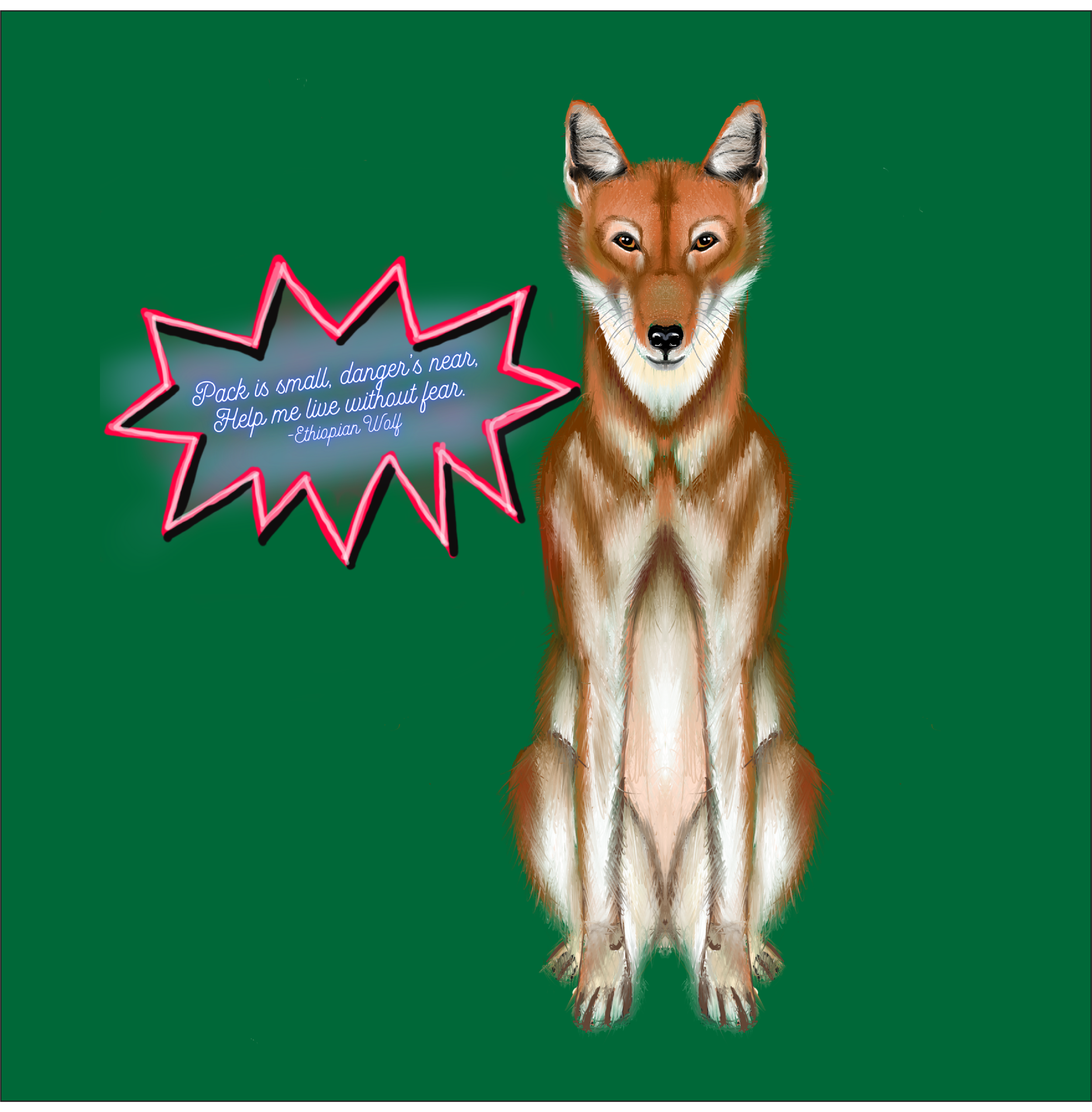 ethiopian wolf.png