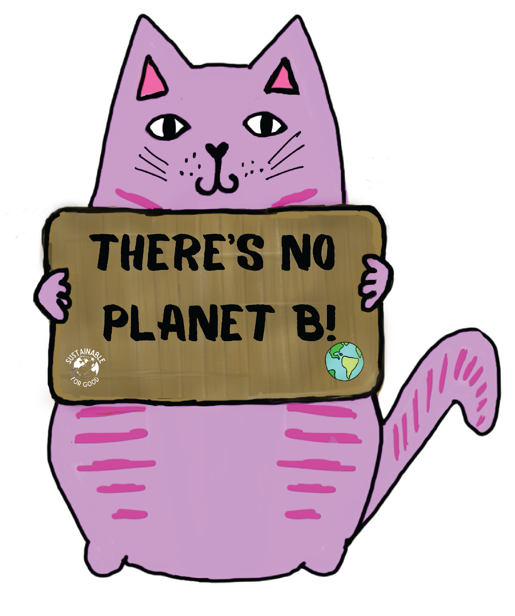 theresnoplanetb.png