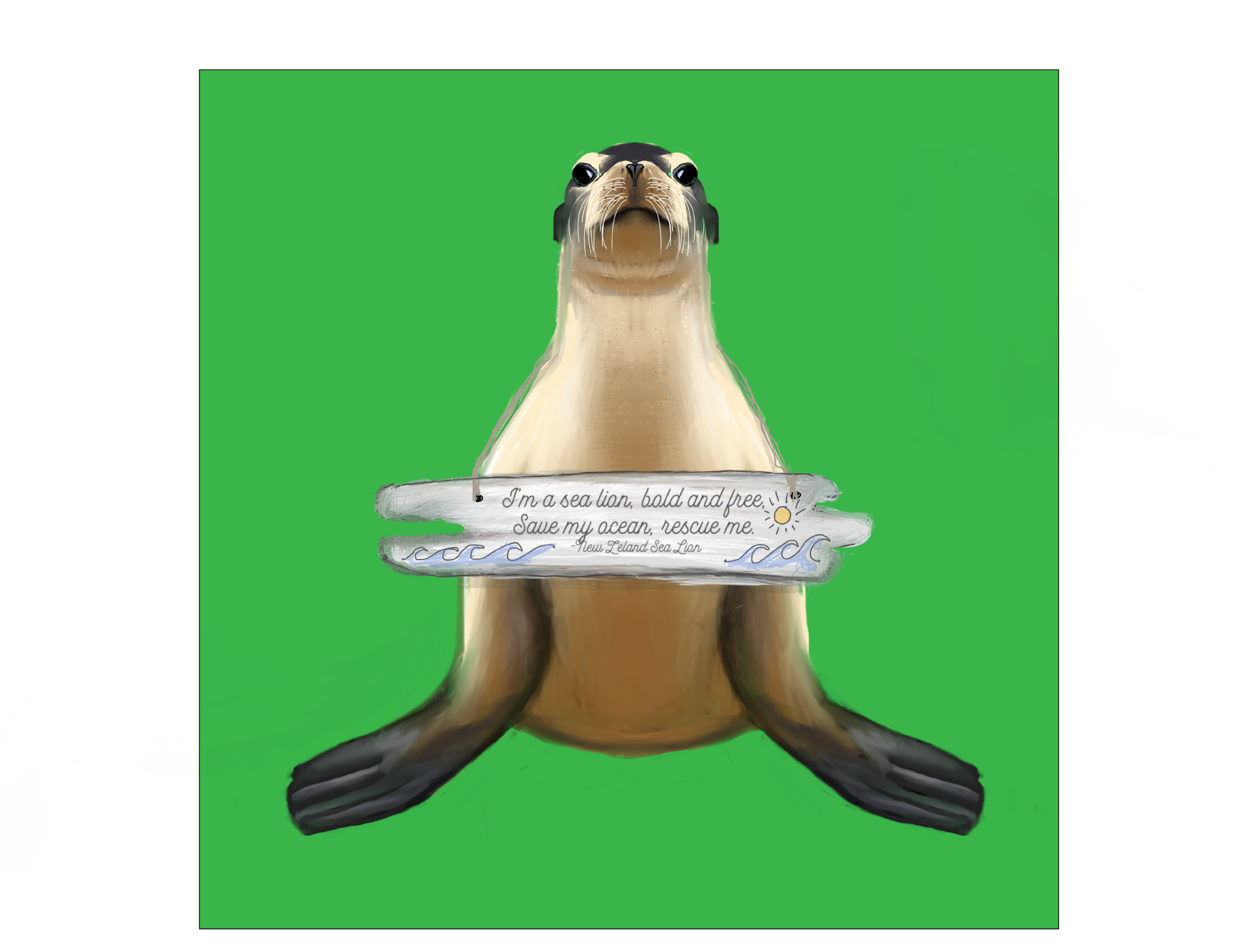sealion.png