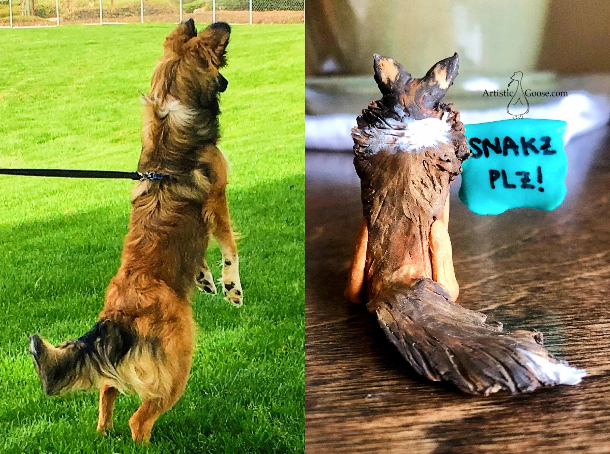 koda side by side back.jpg