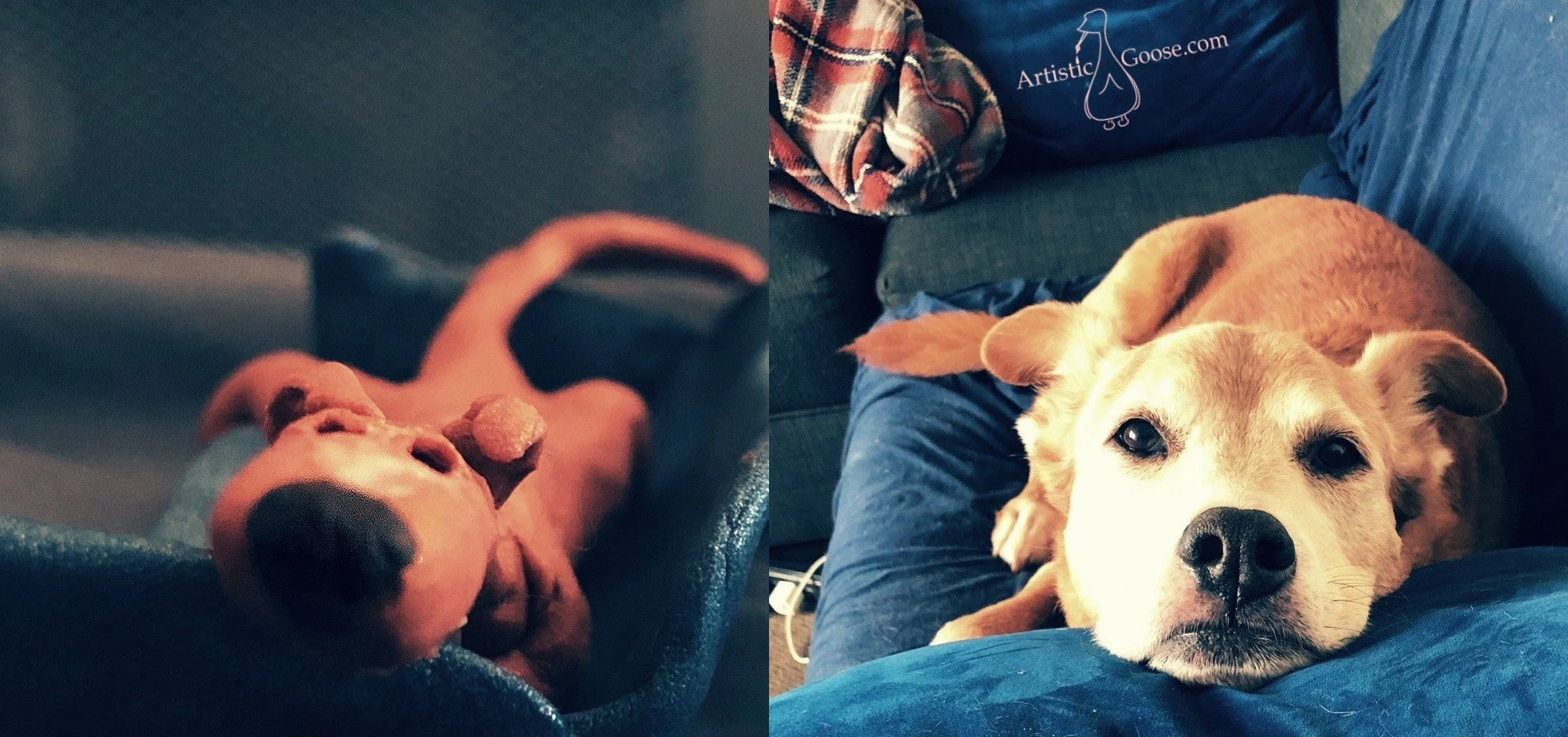 finn side by side.jpg