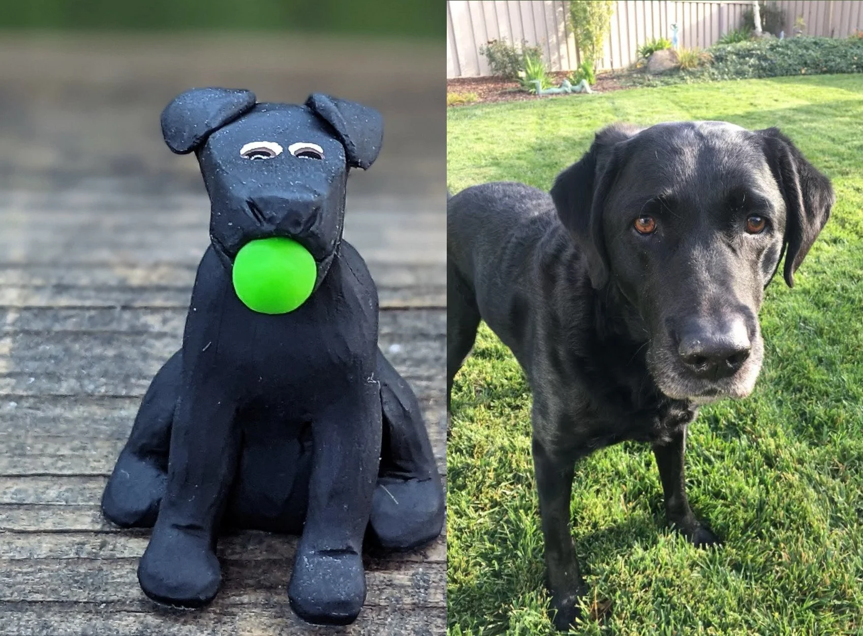 poe side by side.jpg