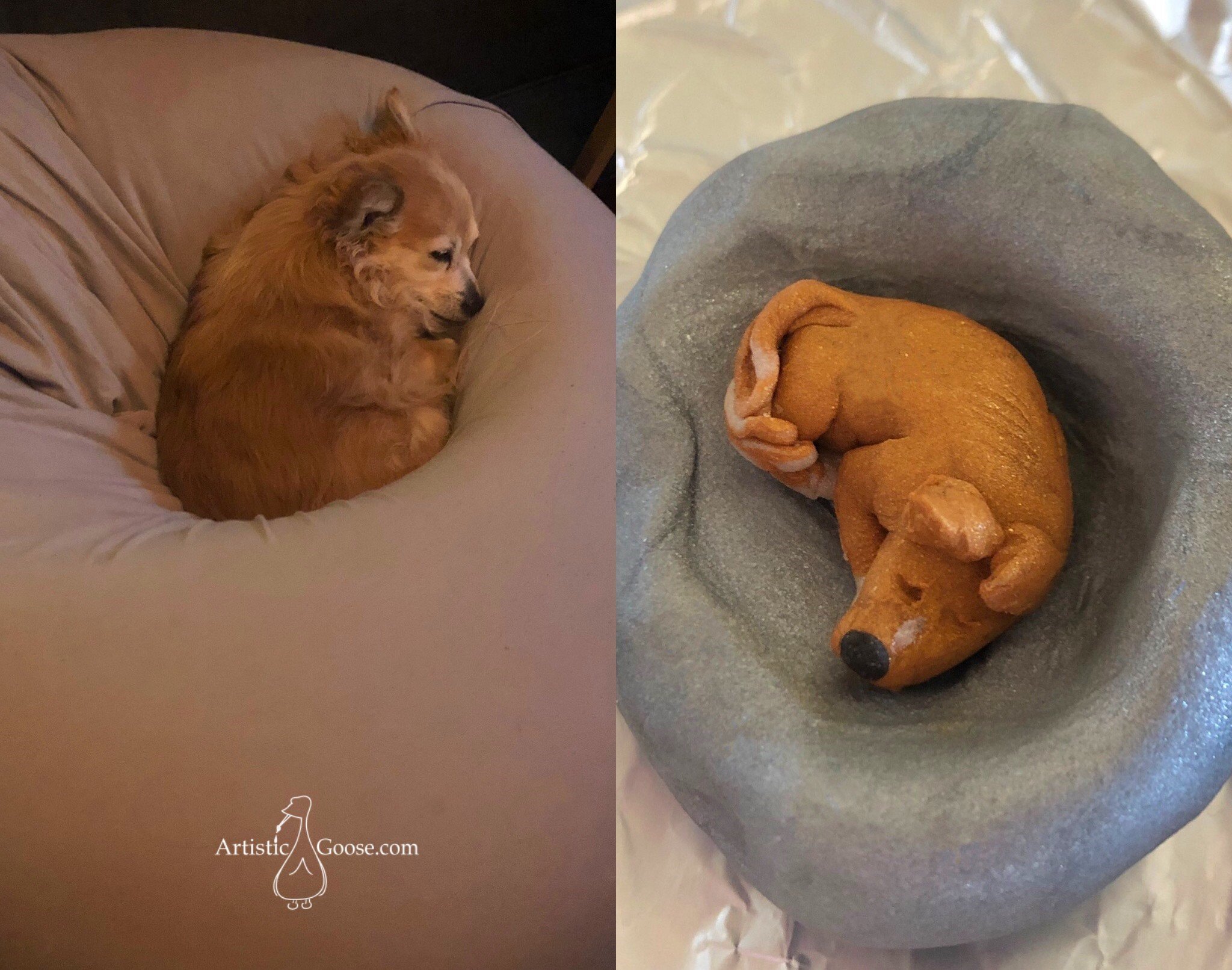 belle side by side.jpg