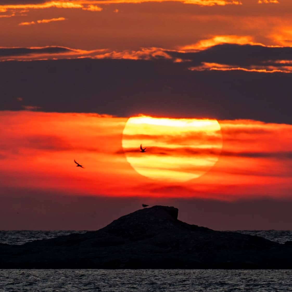 Another gorgeous Newfoundland sunset ! #picoftheday #photography #photooftheday #sunset #sea #ocean #instapic #newfoundland