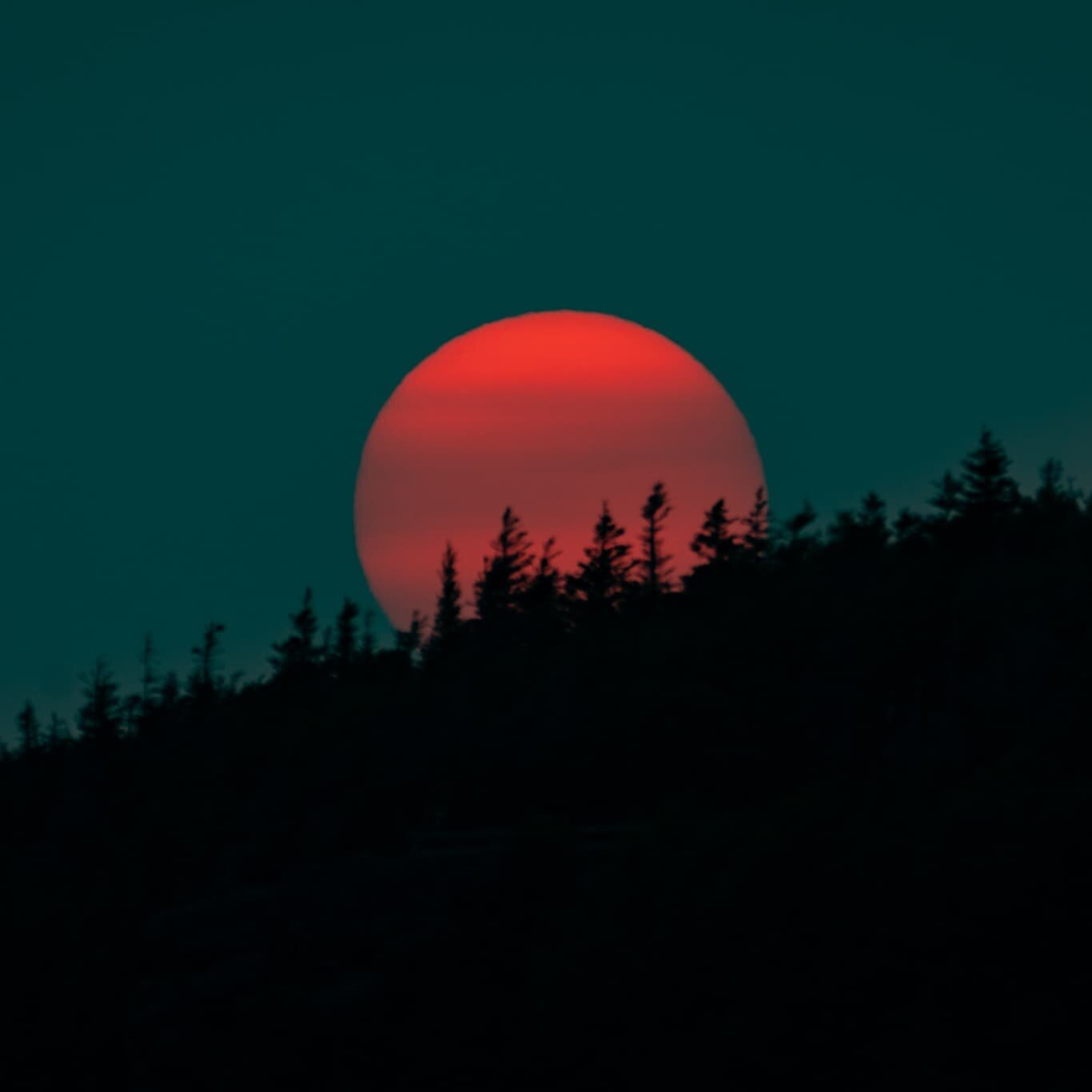 Sunset in Gros Morne National Park, Newfoundland #photooftheday #photography #sunset #naturephotography #gorgeous #instapic #picoftheday #sun #forest #forestphotography #mountains #newfoundland #hiking