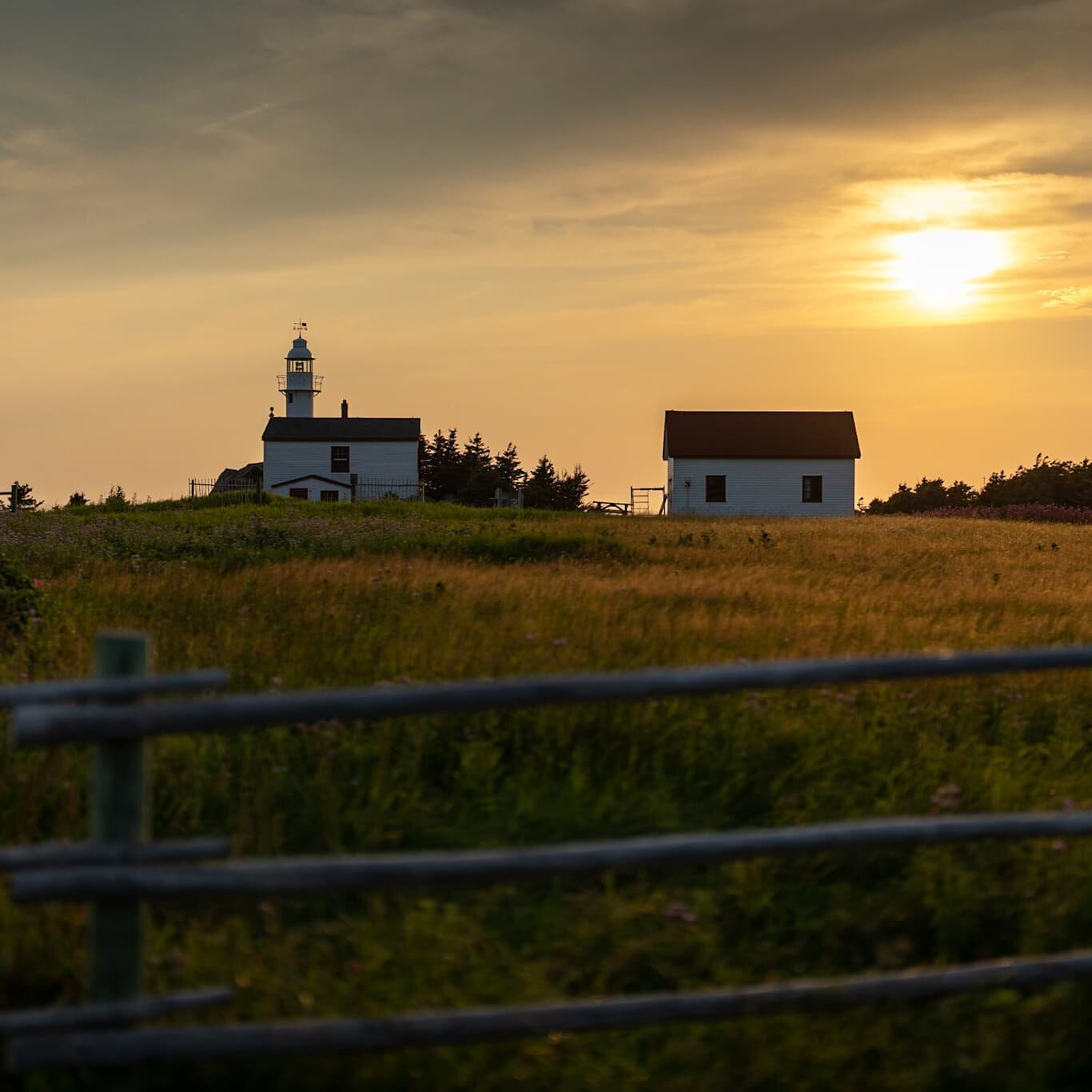 Lobster Cove Lighthouse at sunset #photography #sunset #lighthouse #photooftheday #landscape #landscapephotography #beauty
