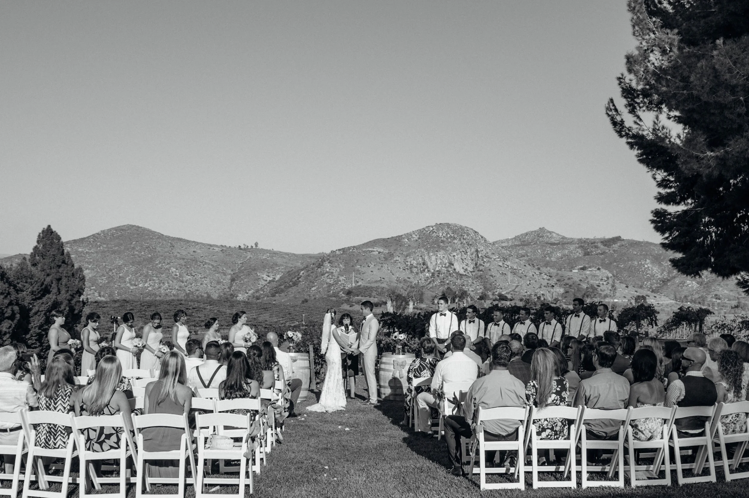 harvey wedding 458.jpg