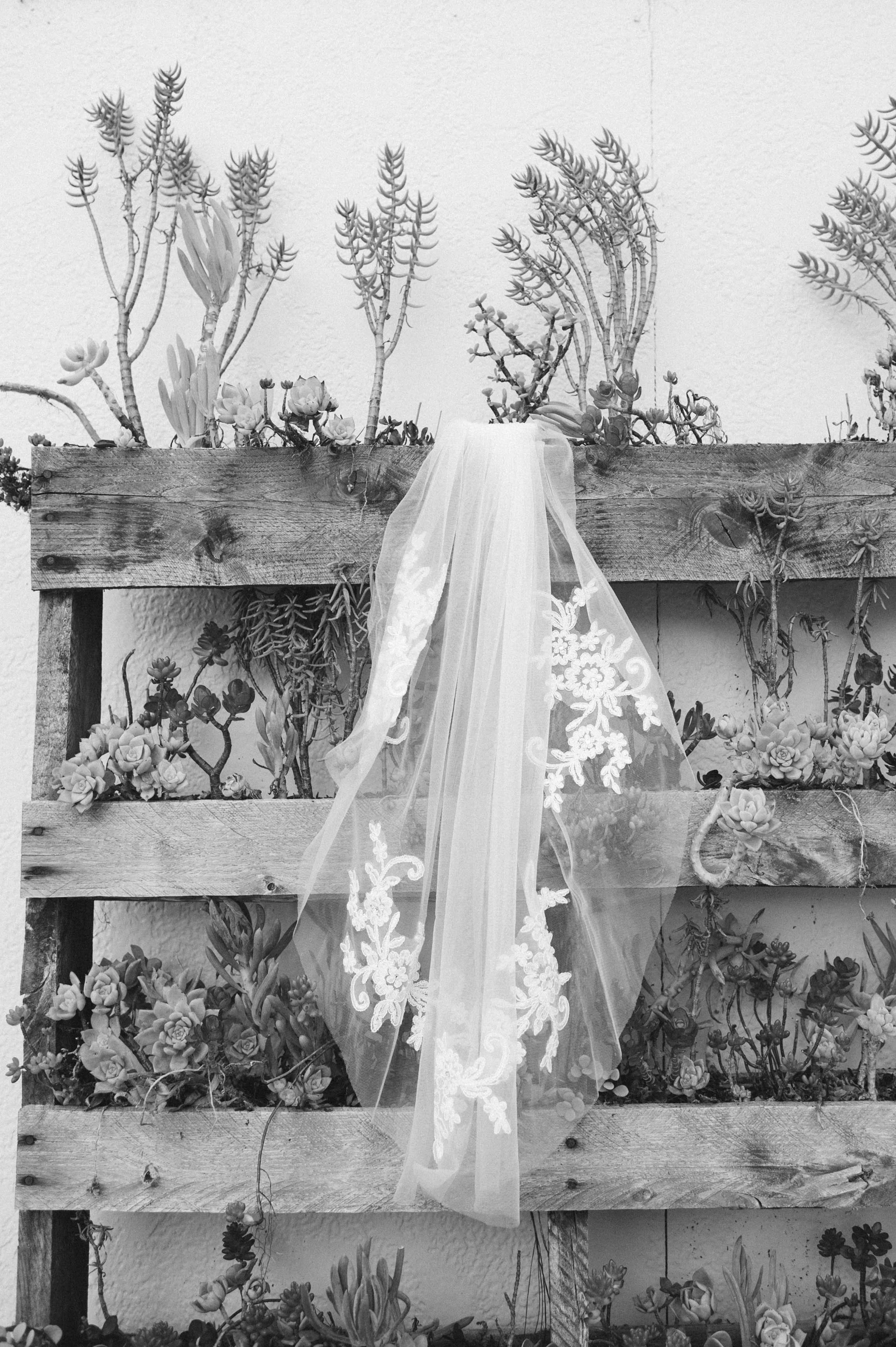 harvey wedding 615.jpg