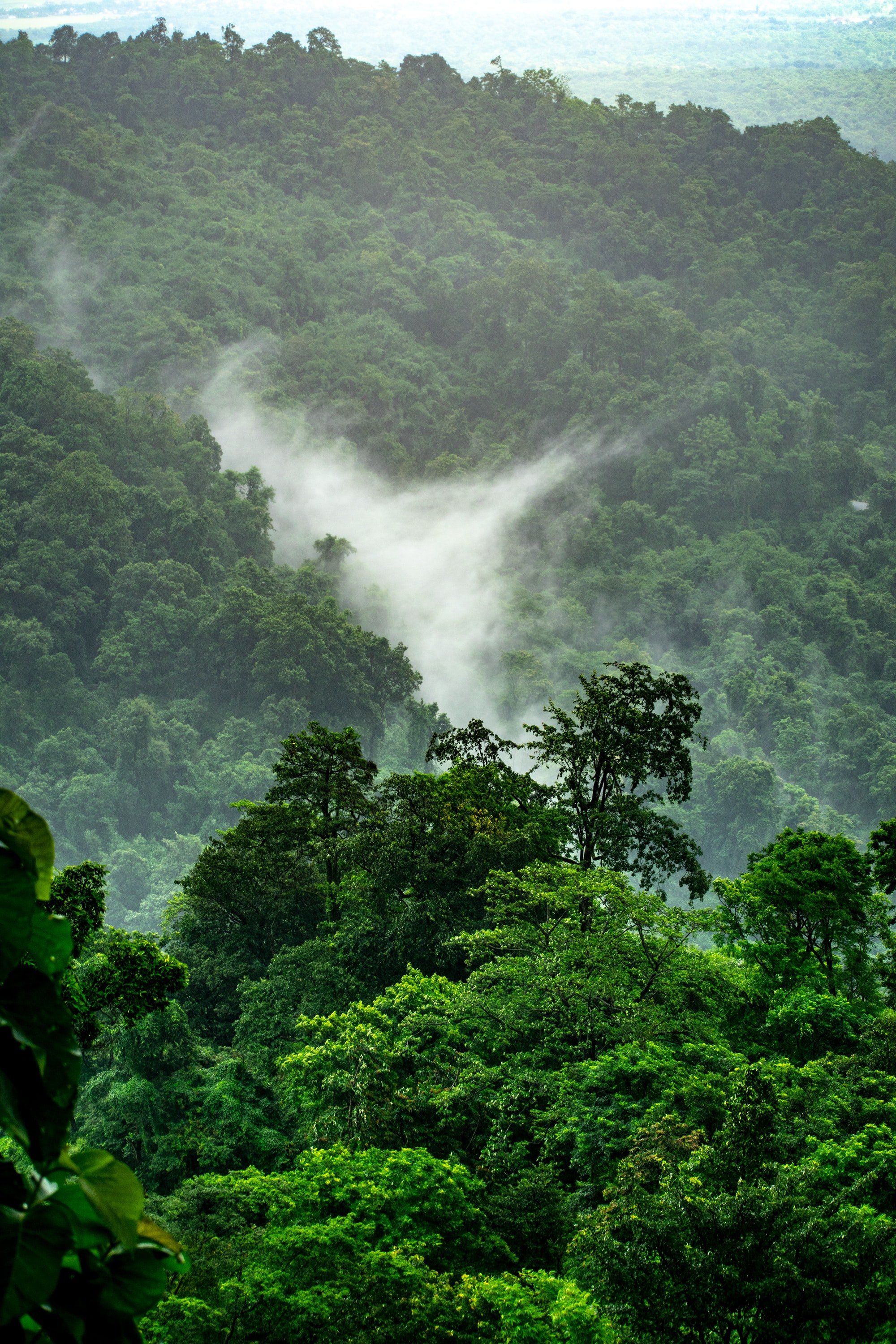El Portal del Yunque