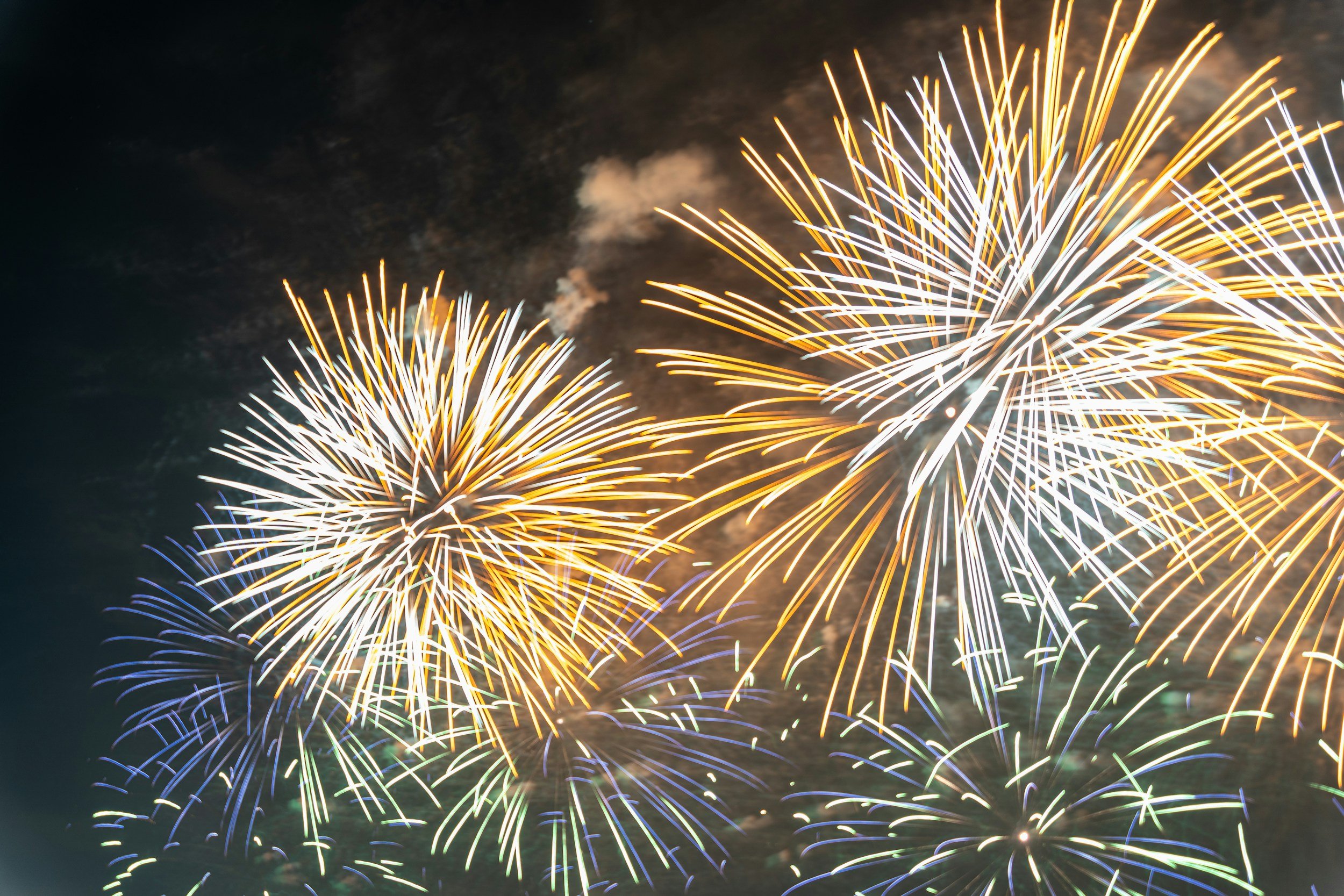 Fireworks in the sky