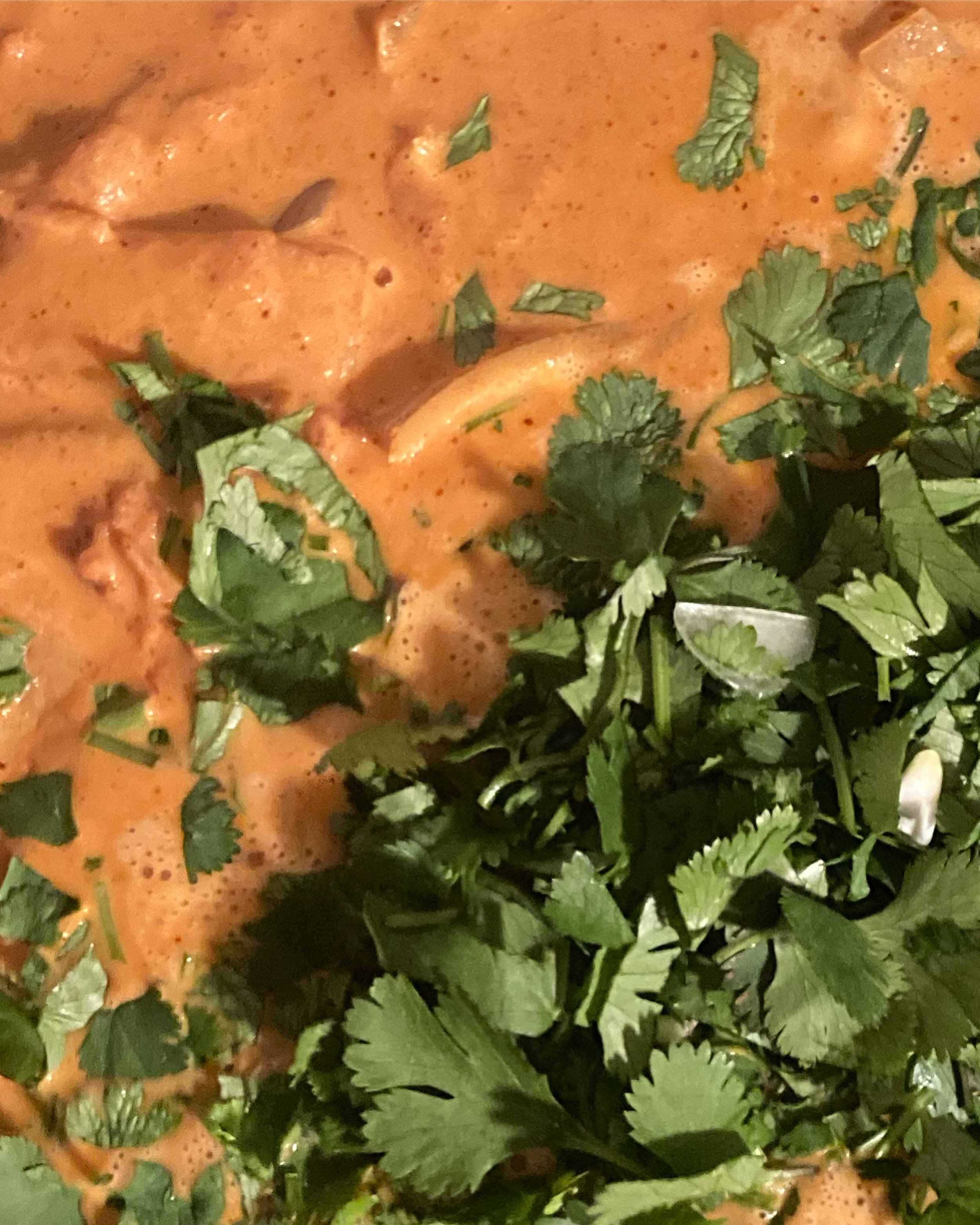 Red sauce with cilantro.jpg