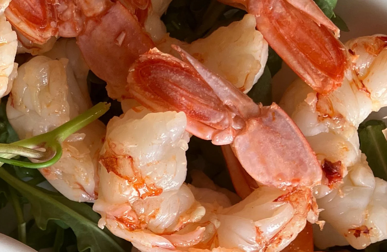 Shrimp.jpg