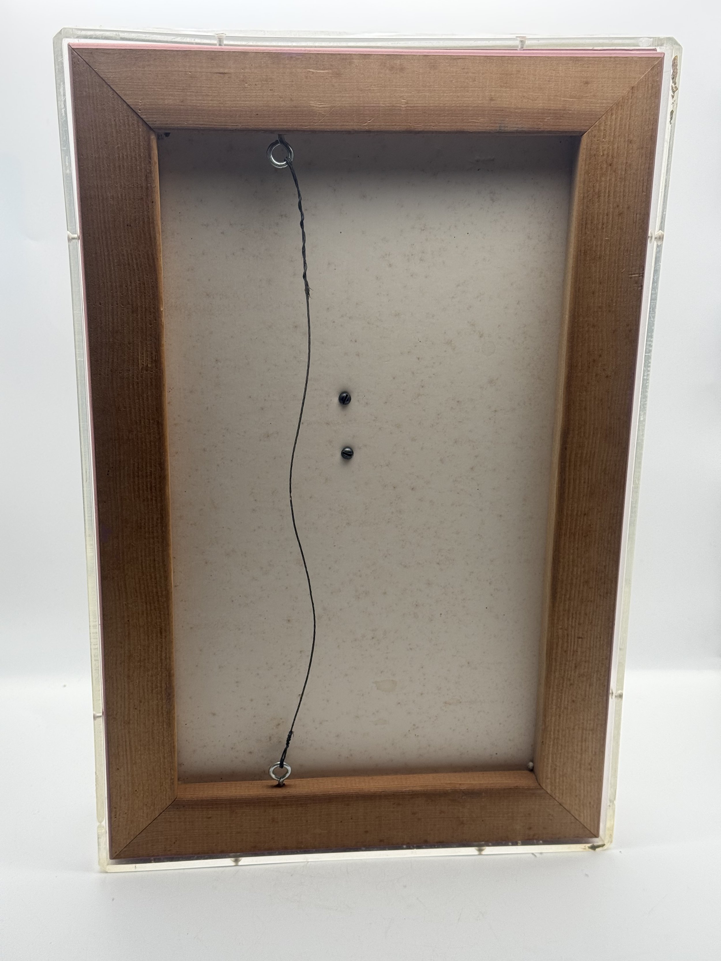 Back of the crystallized frog display case