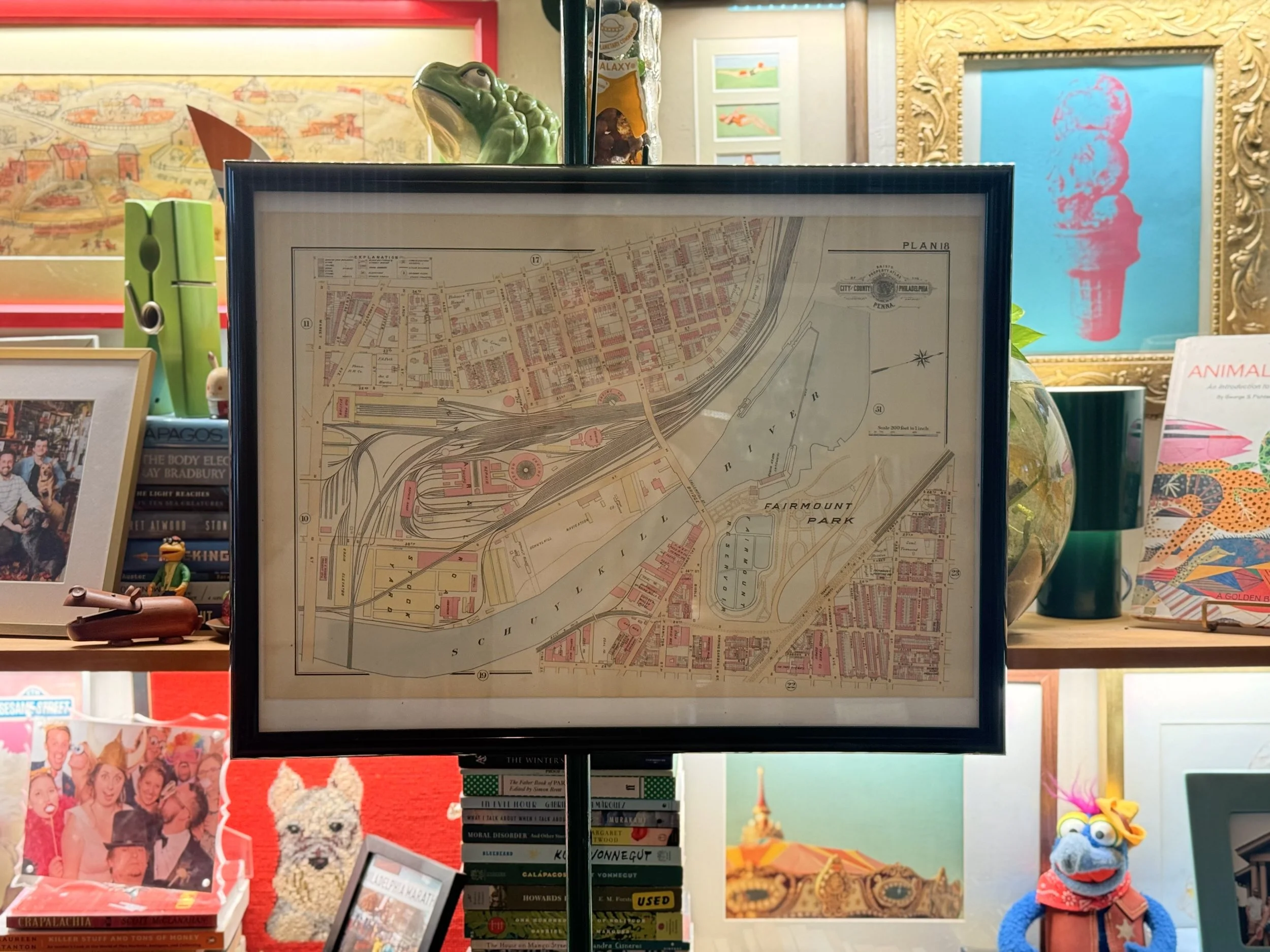 IMG_4446.jpeg