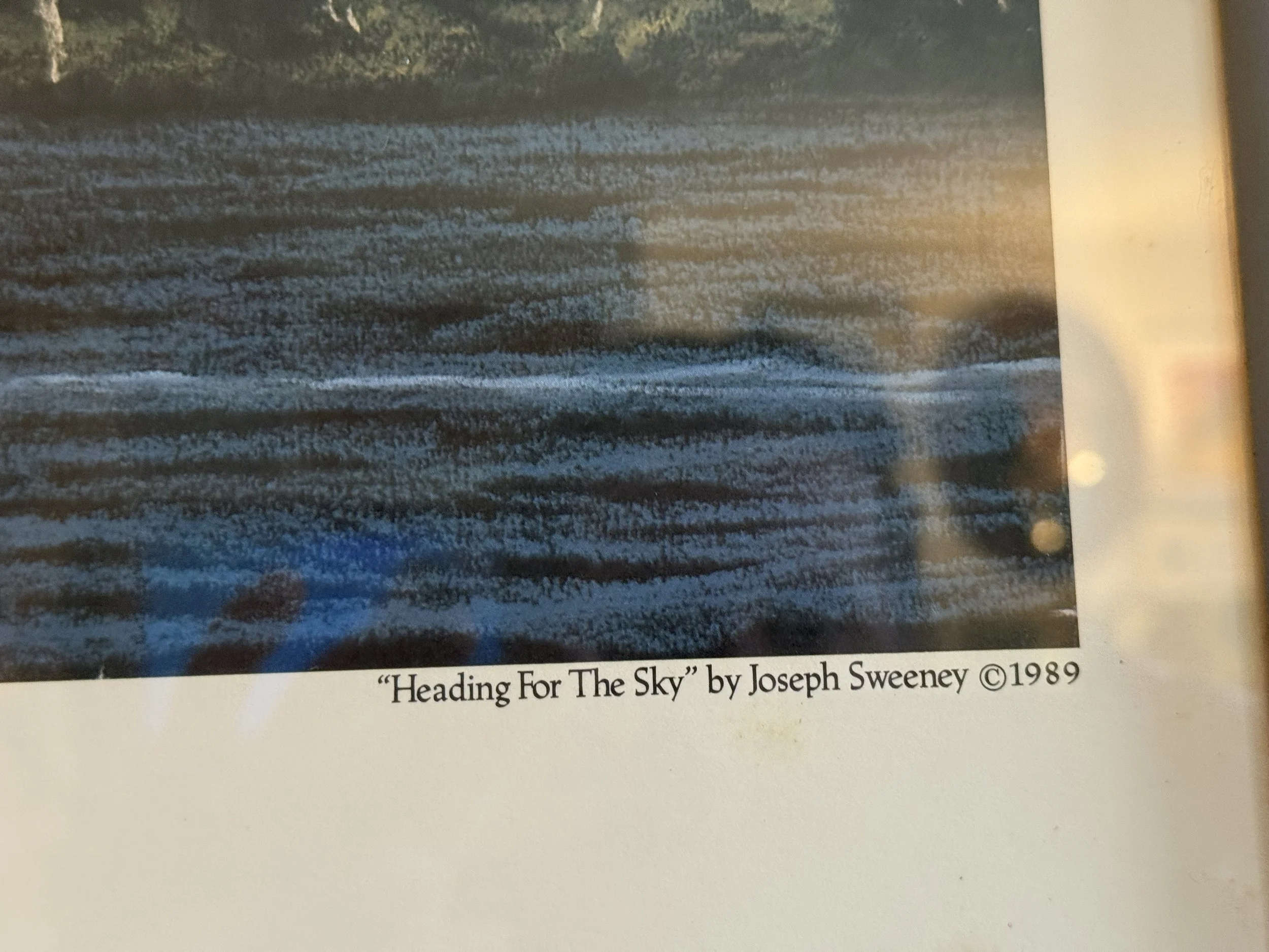 IMG_4466.jpeg