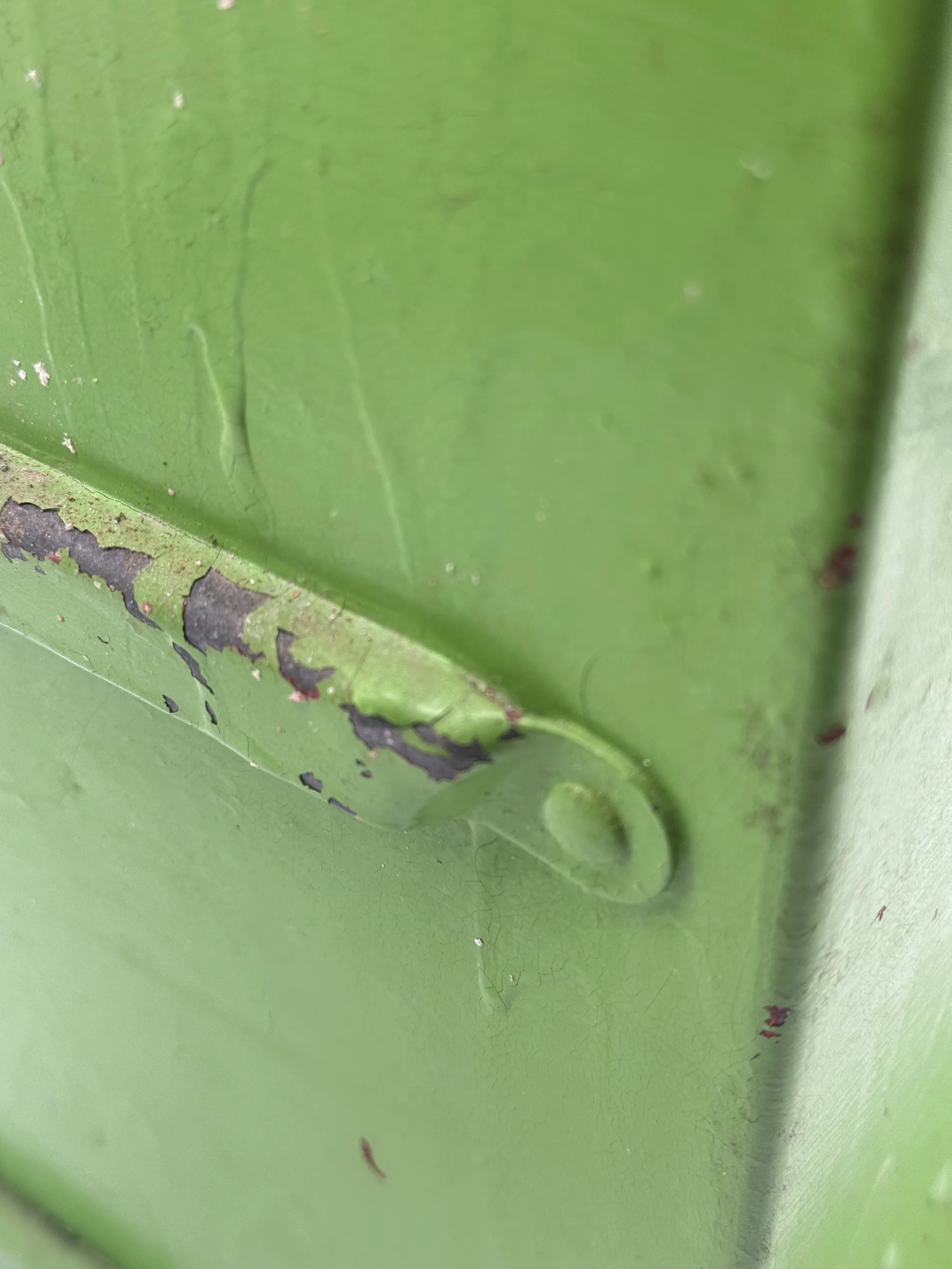 Close-up of the original green paint and hinge on the gumball machine