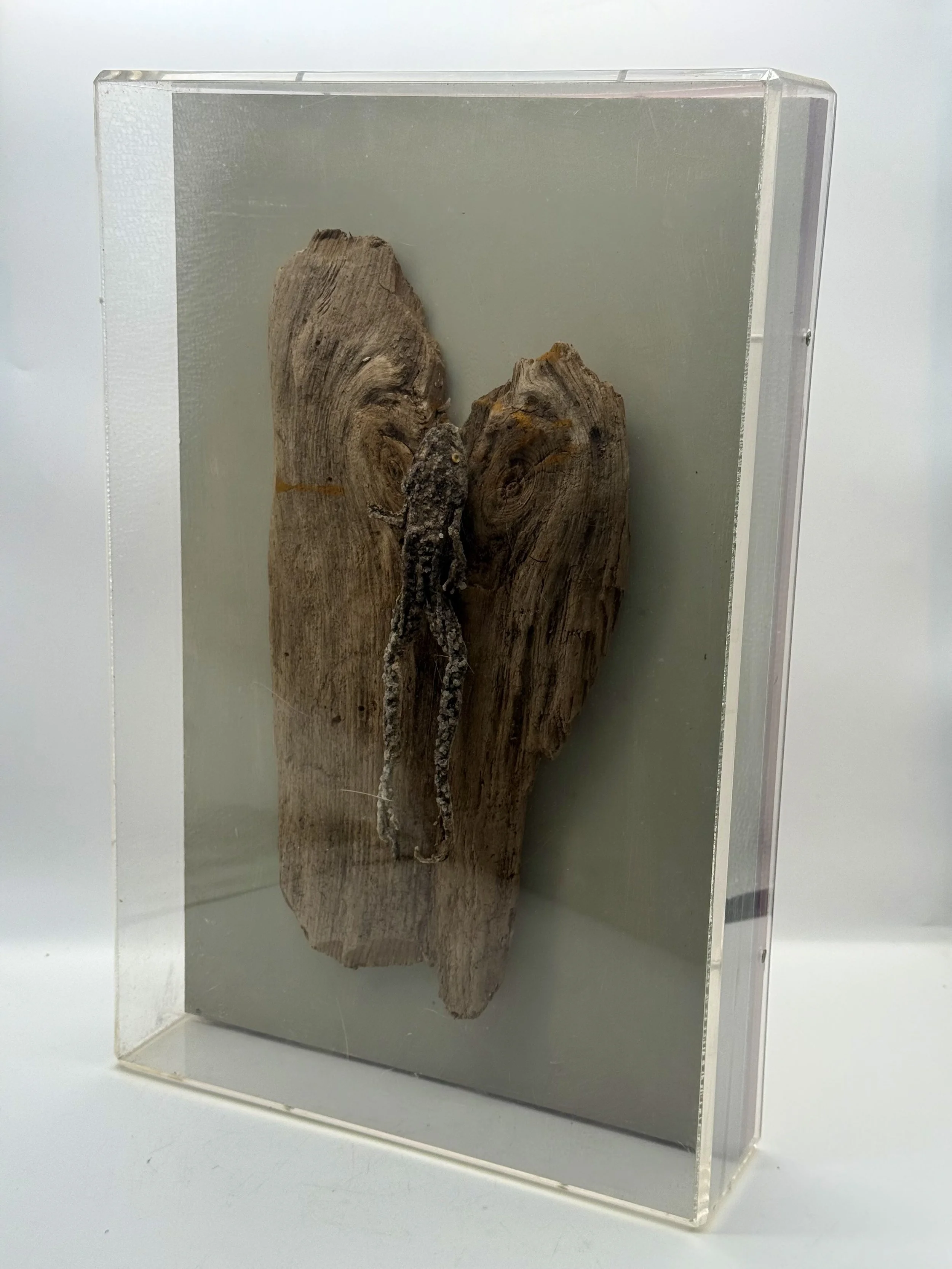 Crystallized frog in its acrylic case, side view