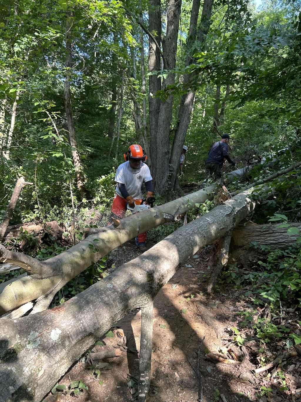 vic-sawing.jpg