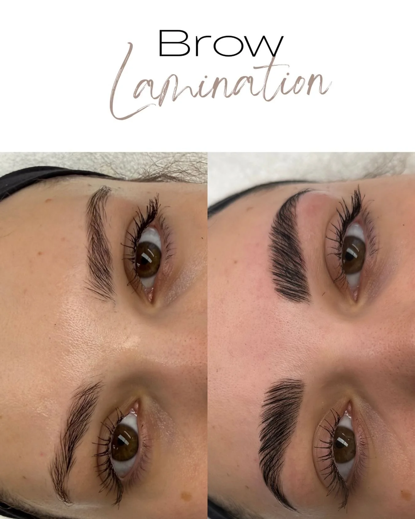 Brow Lamination 🤎

#brows #browlamination #browtint #browshaping #peoriailbrows