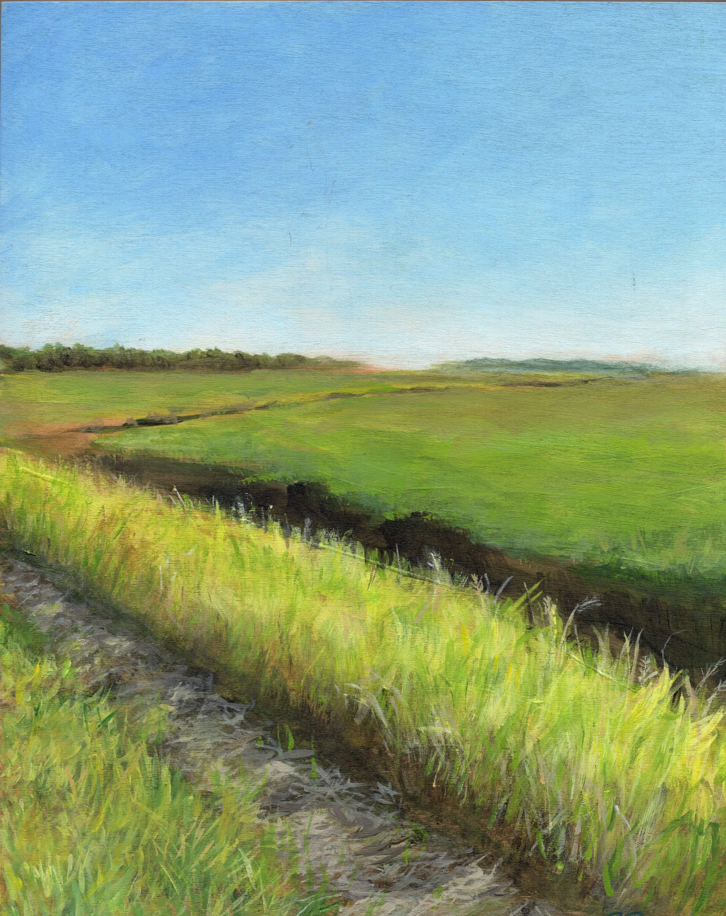 Scarborough Marsh Row.jpg