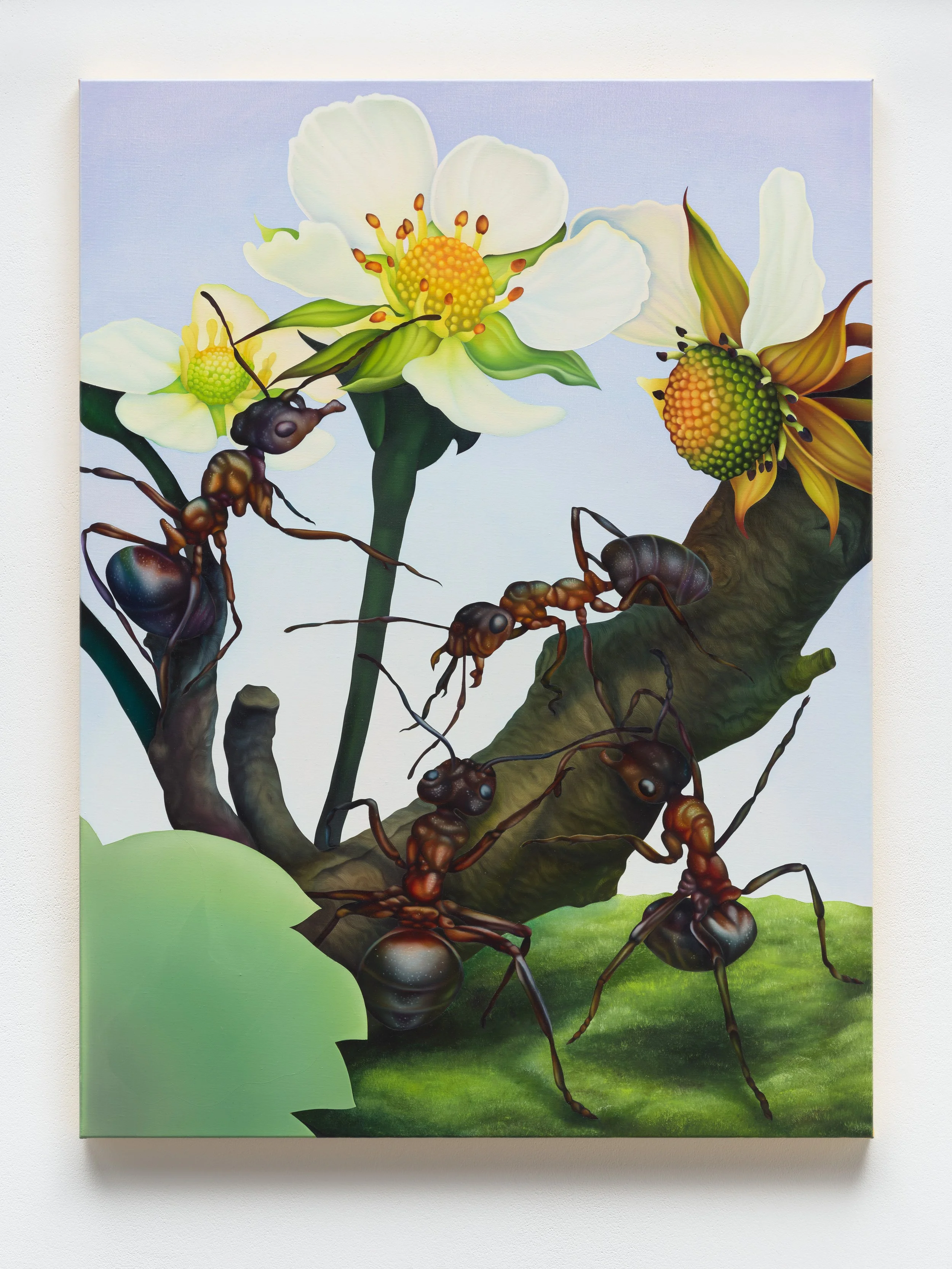 Where Hummed Intentions Drift, Ancient Bonds Persist (II) ,2025
Oil On Linen, 88x 66 cm (34,7 x 26 in)