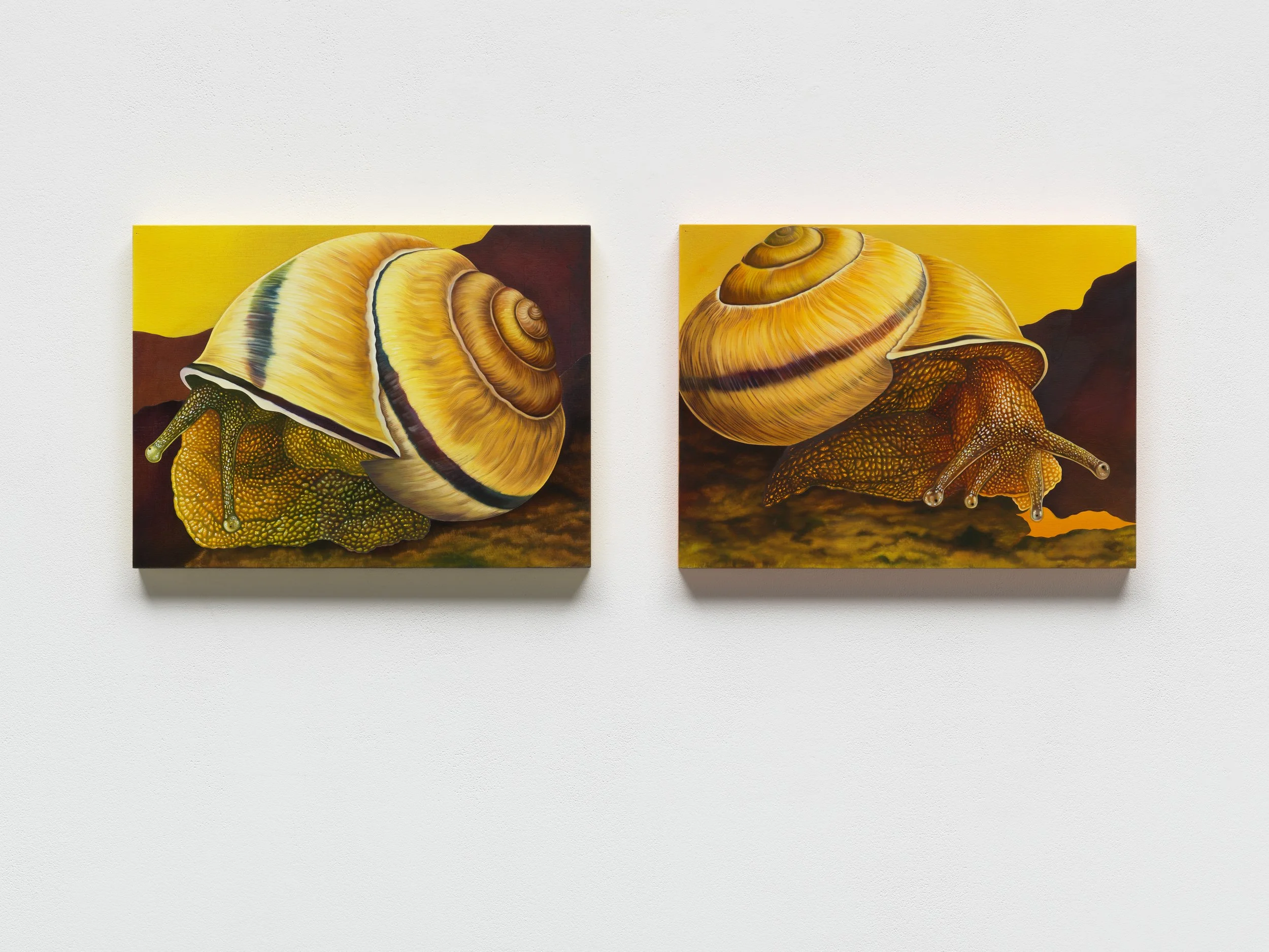Gilded Trails II & III, 2025,
Oil On Wood, 40 x 30 cm (15,7 x 11,81 in)