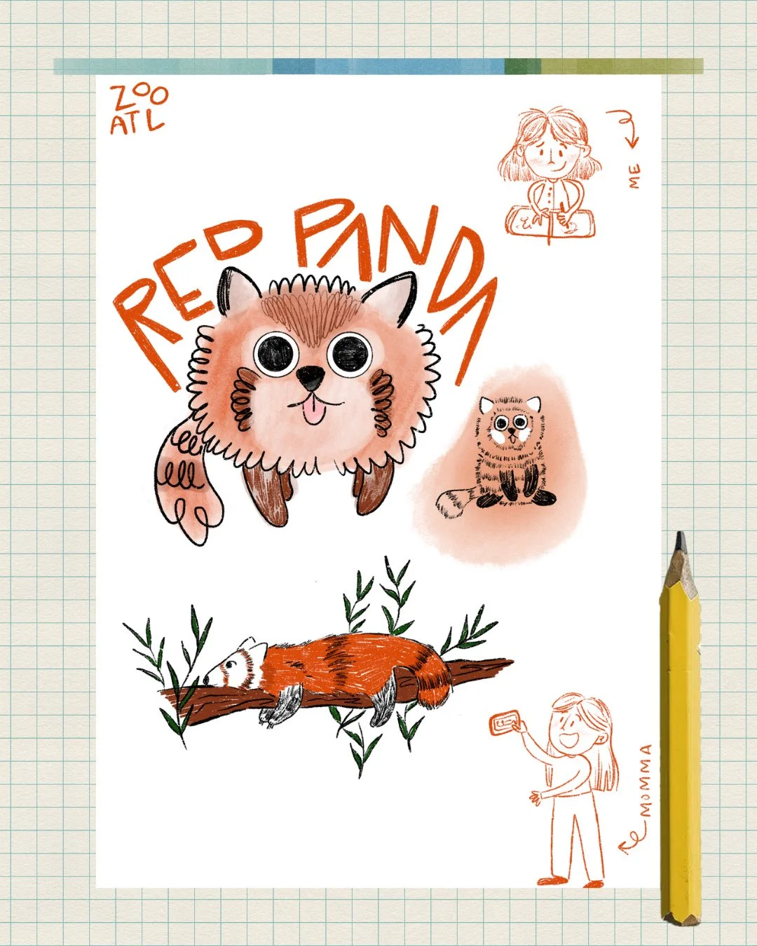 My mom and I went to the zoo recently and I brought my sketchbook! It was so fun getting to sketch all of the amazing animals! I'd definitely recommend spending a day at the zoo drawing.