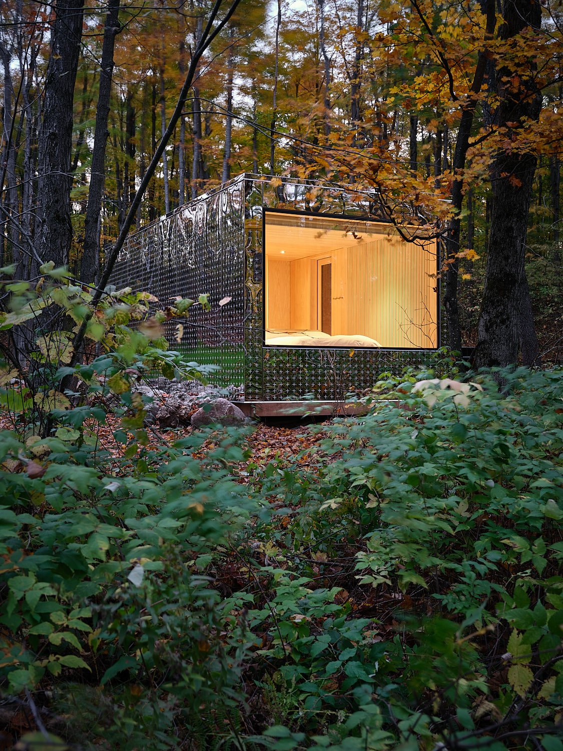 Escaping the Urban Frenzy: Arcana's Transformative Retreats in Nature