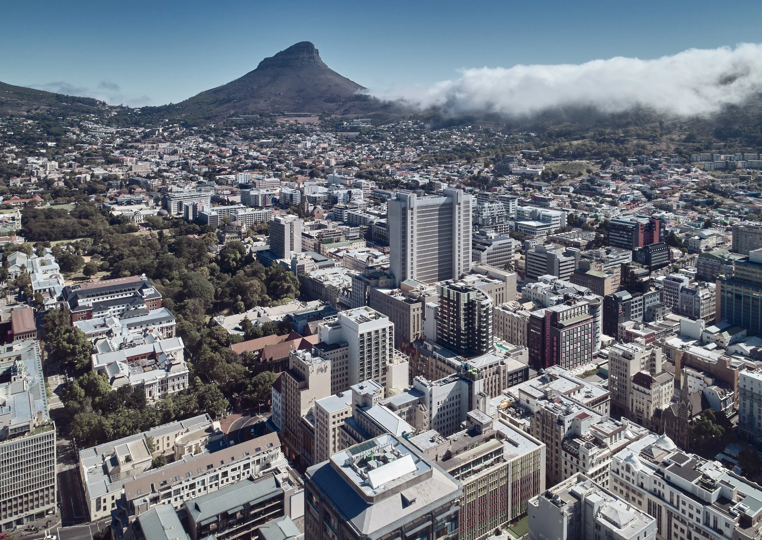 Cape Town’s Vibrant Art on Showcase at the Gorgeous George Hotel