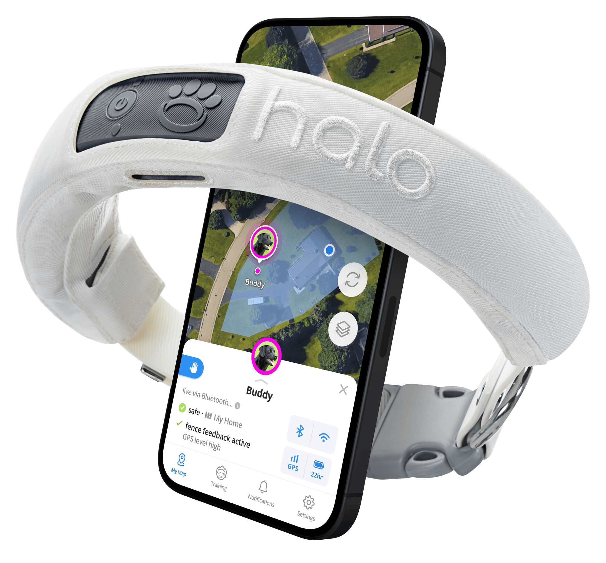 Halo Collar 3