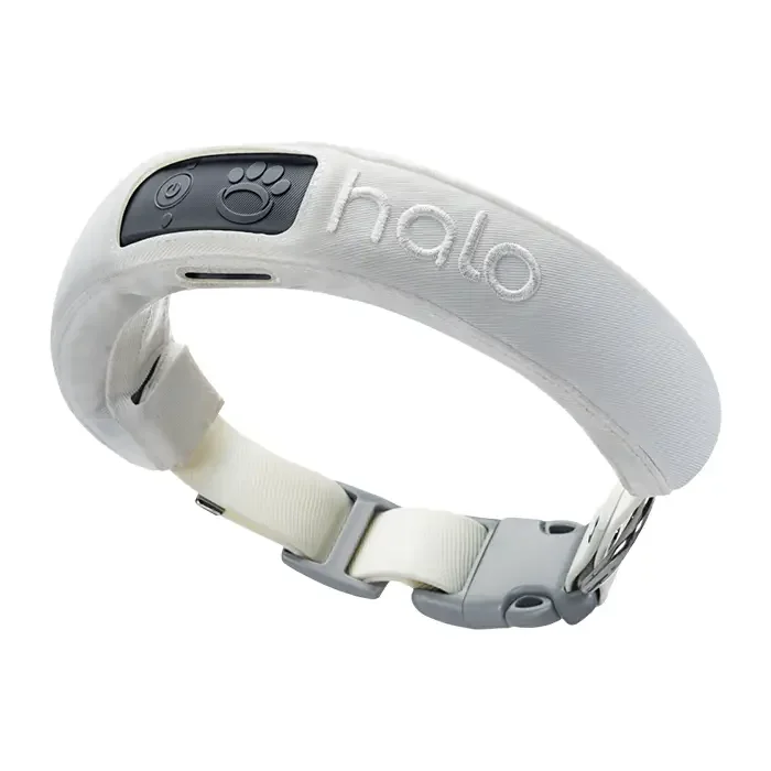 Halo Collar 3 (Small)