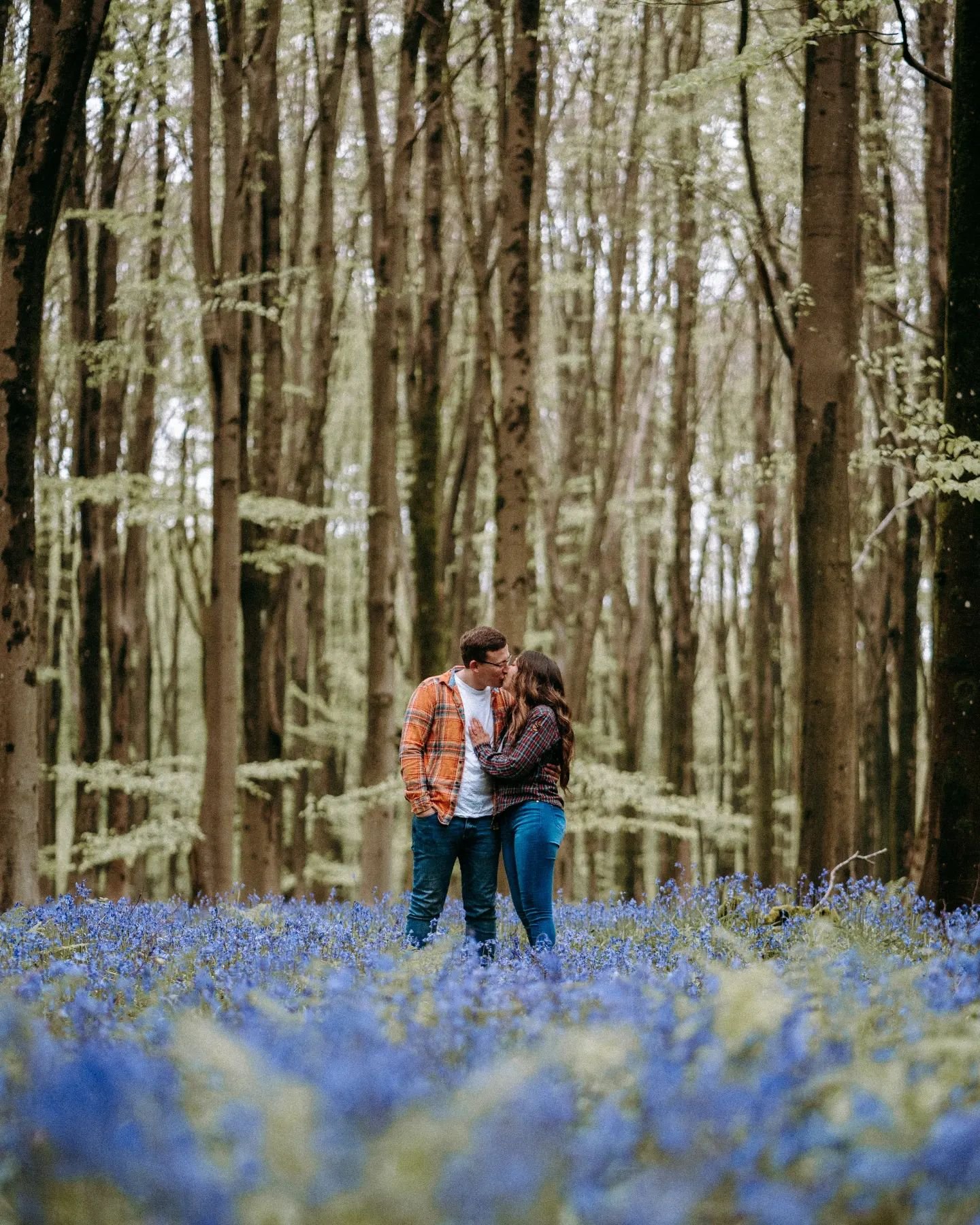 Bluebells as far as the eyes can see! Lovely engagement shoot yesterday with this wonderful couple!