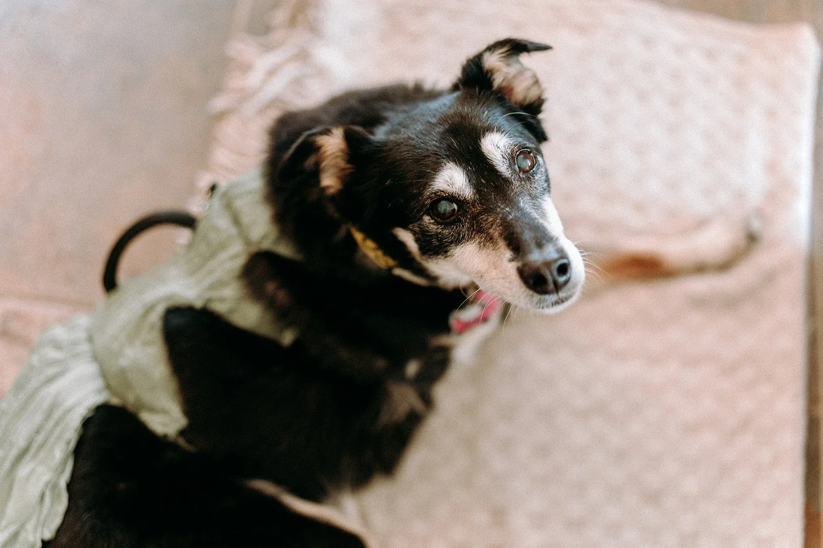Jess & George_FirstLook-6.jpg