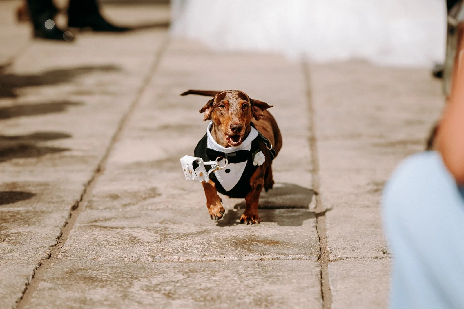 Aleisha & George - First Look-50.jpg