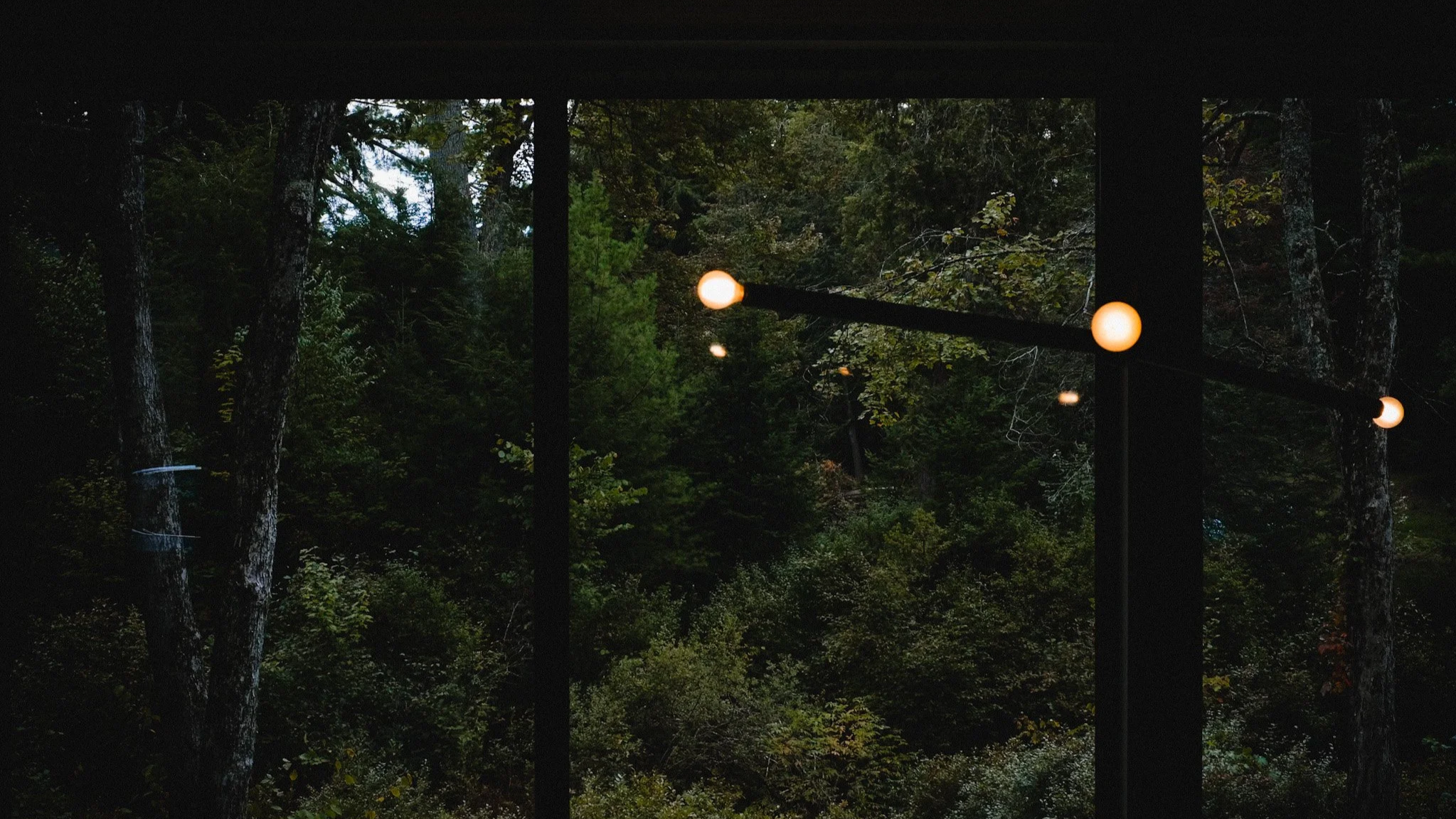 109.png