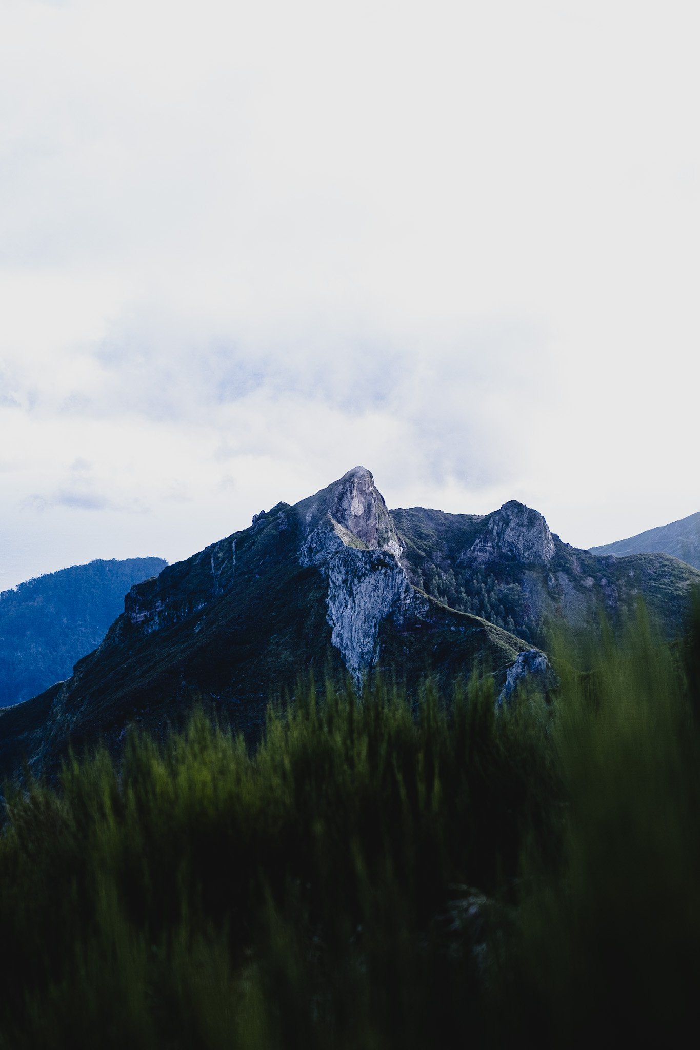 _DSF8814-Pano.jpg