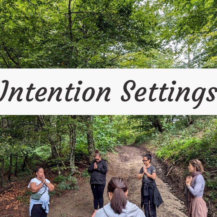 Intention Settings Free Online