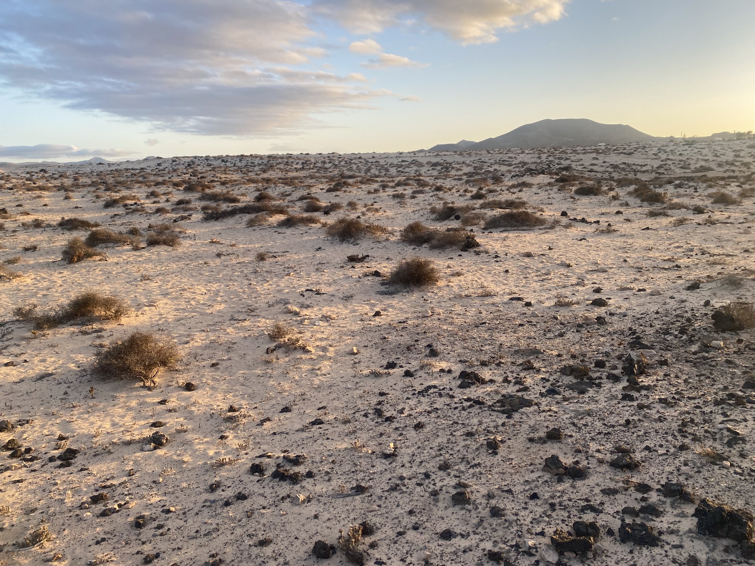 fuerteventura.jpeg