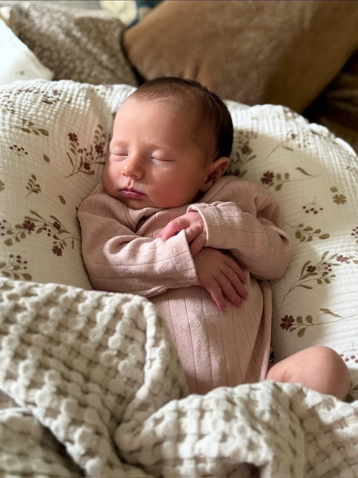 Meet my newest intern Tessa Susanna Groome 💕 strong on charm, weak on deadlines 

3 months of maternity leave gave me a whole new sense of purpose. Feeling grateful, inspired and looking forward to reconnecting with clients, editors, freelancers, an