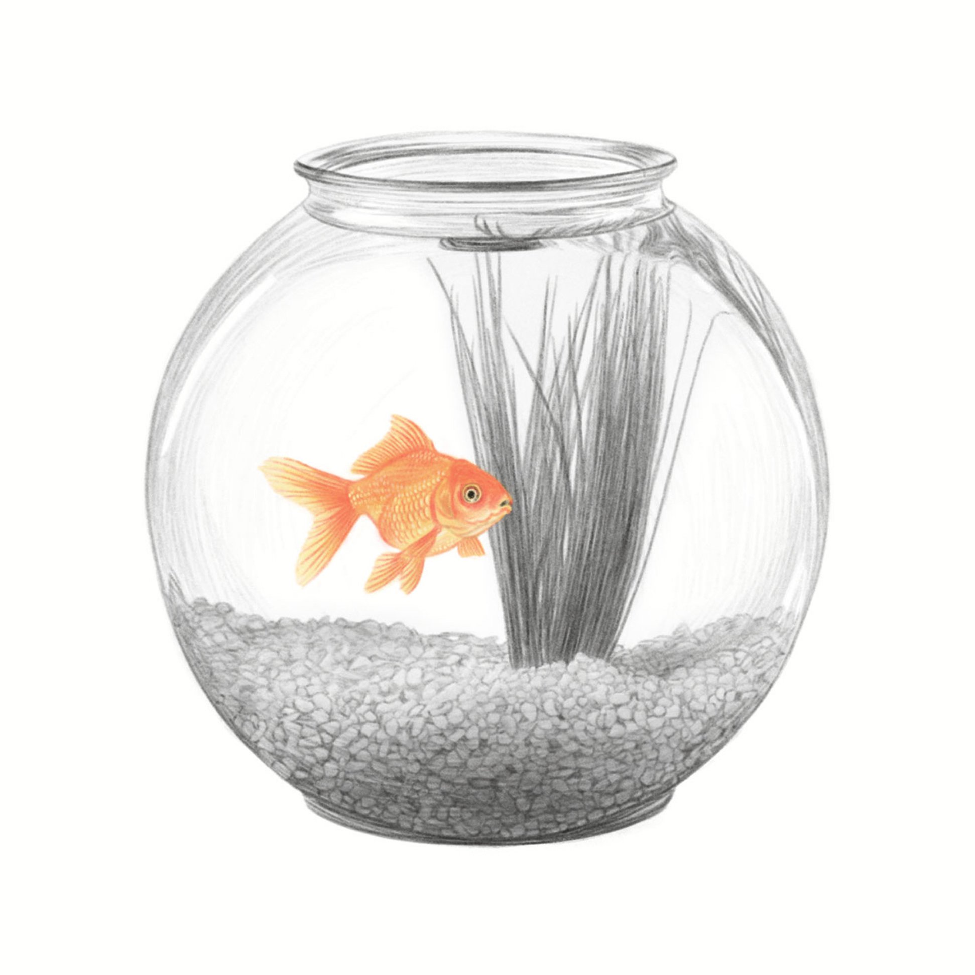 A Space to Call My Own