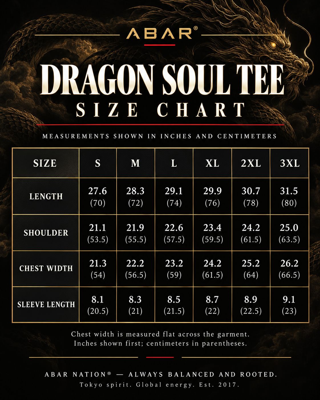 Dragon Soul Tee Size Chart cm:in.png