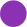 Purple2.png