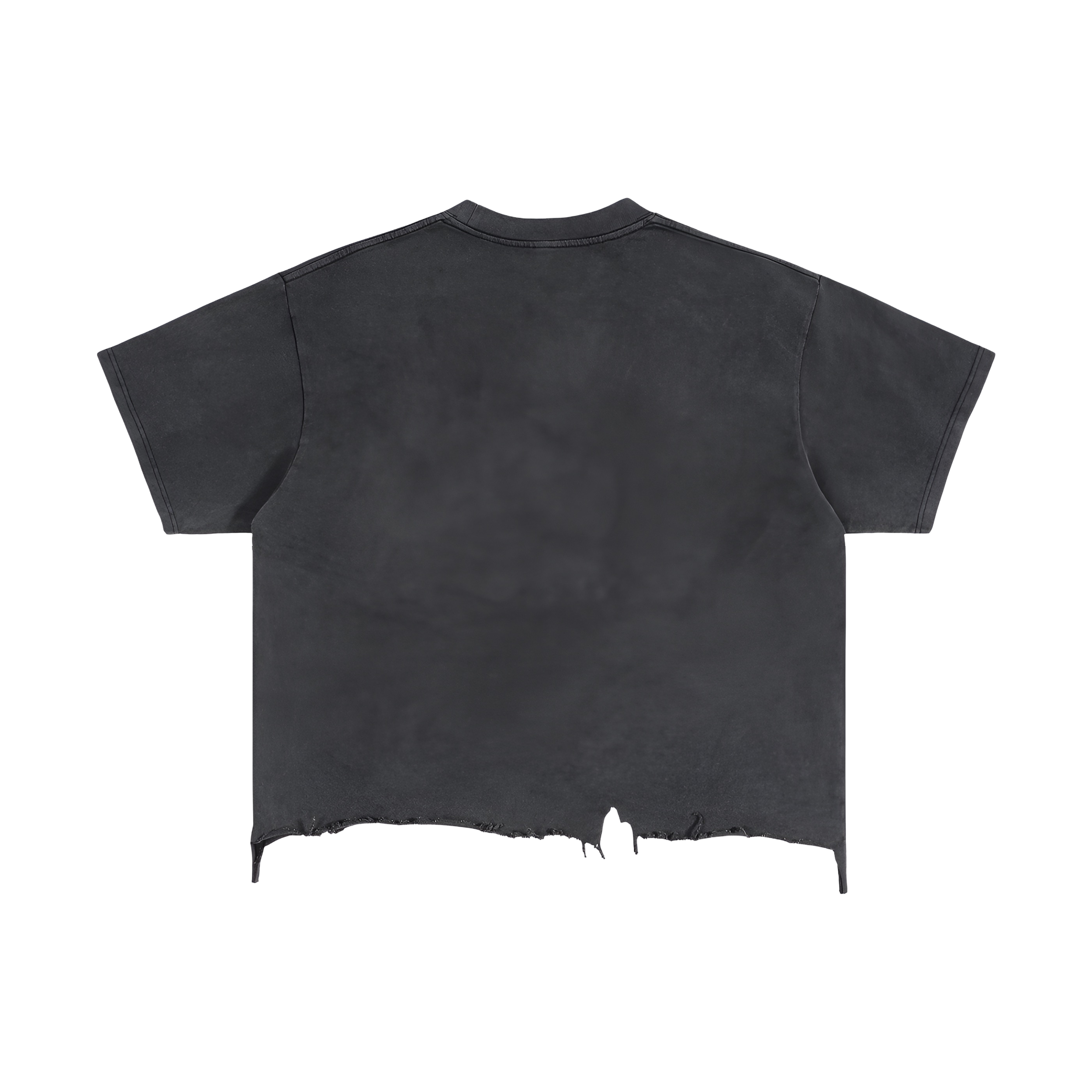 Empire Dissipation transparent background mockup (Back).png
