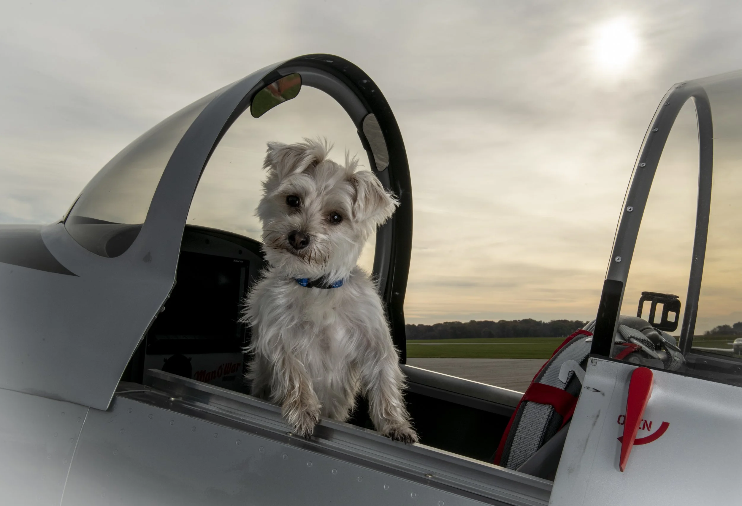 Pooches & Planes @ Bolingbrook Clow International Airport