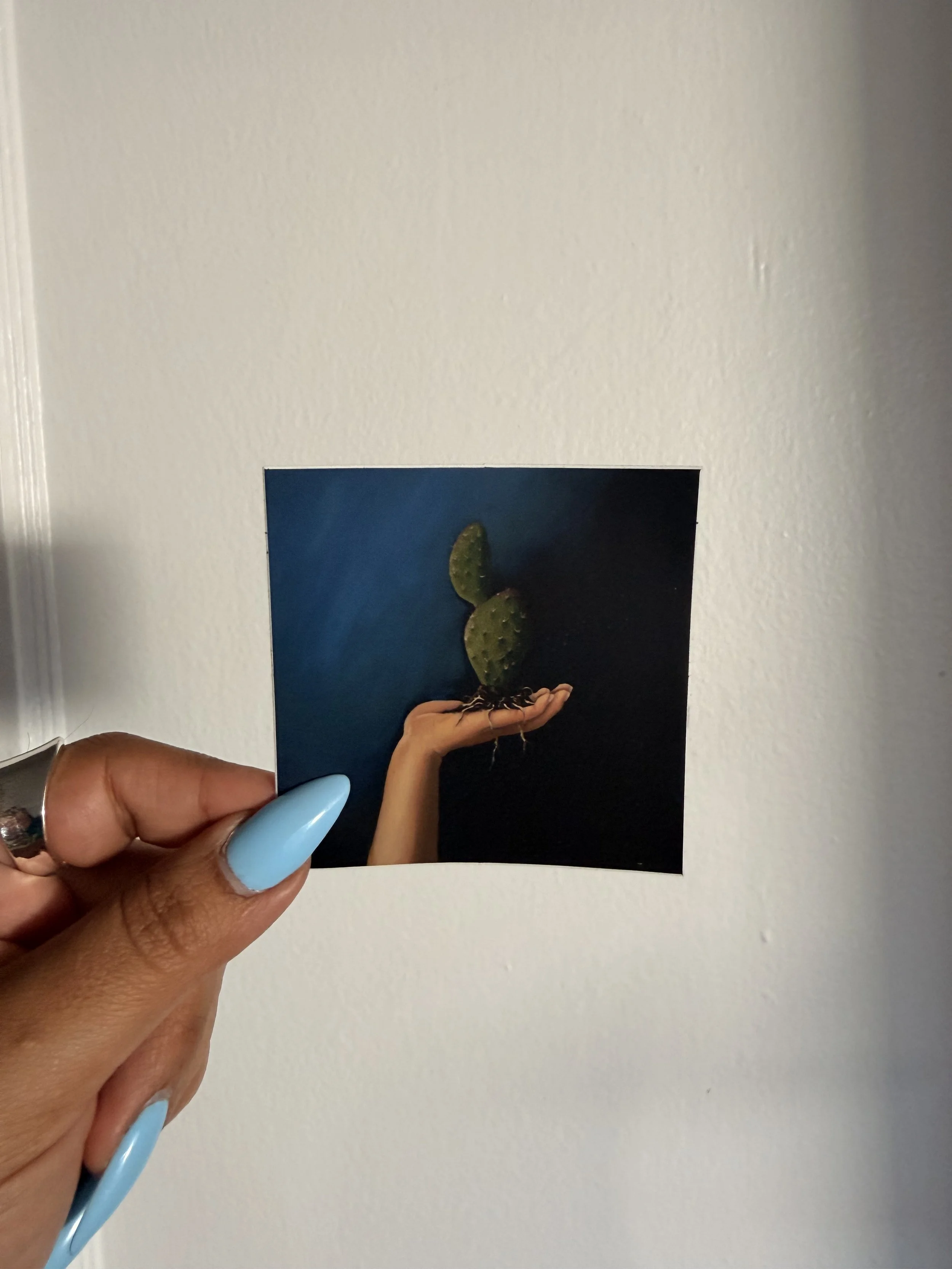 RAICES STICKER
