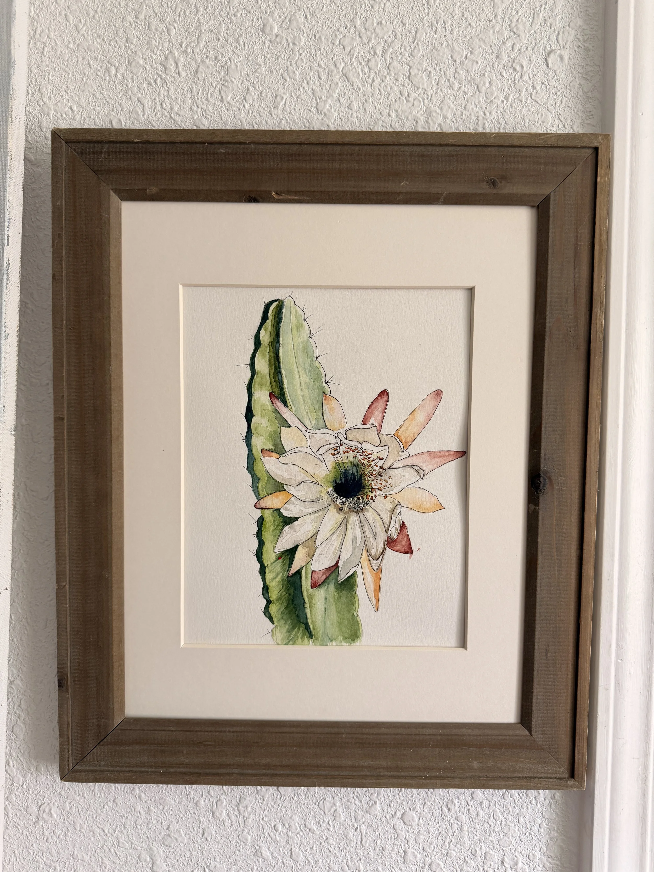 CACTUS IN BLOOM